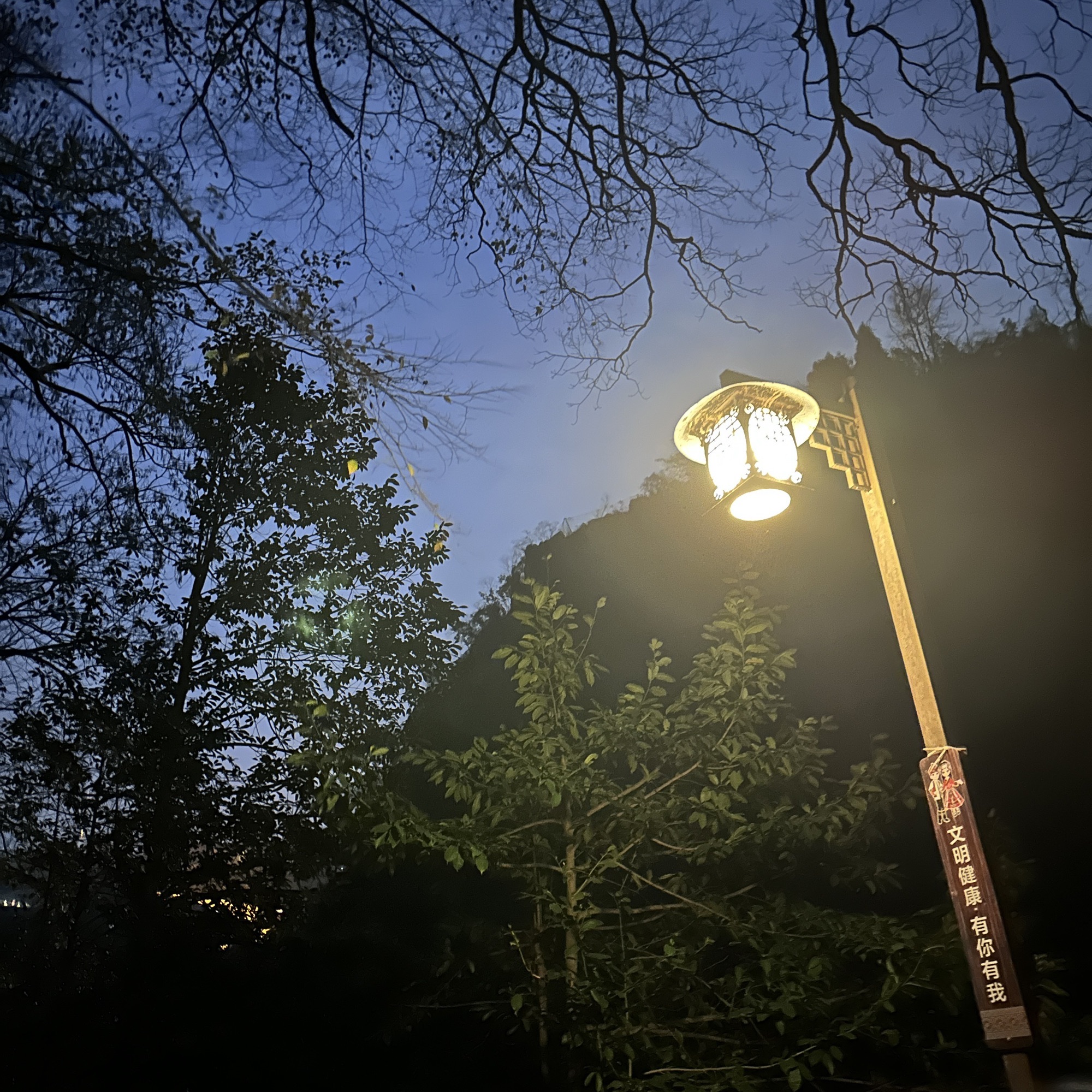 不二门国家森林公园旅行图片 1
