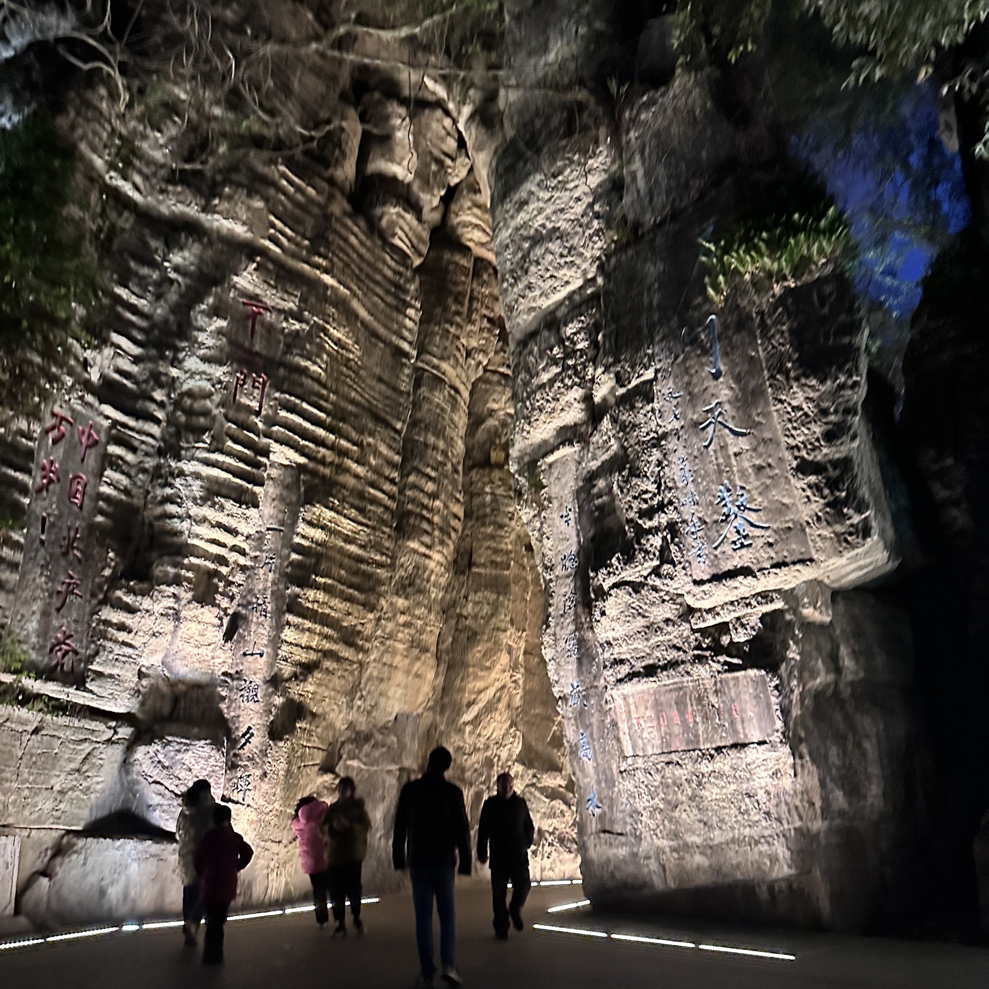 不二门国家森林公园旅行图片 3