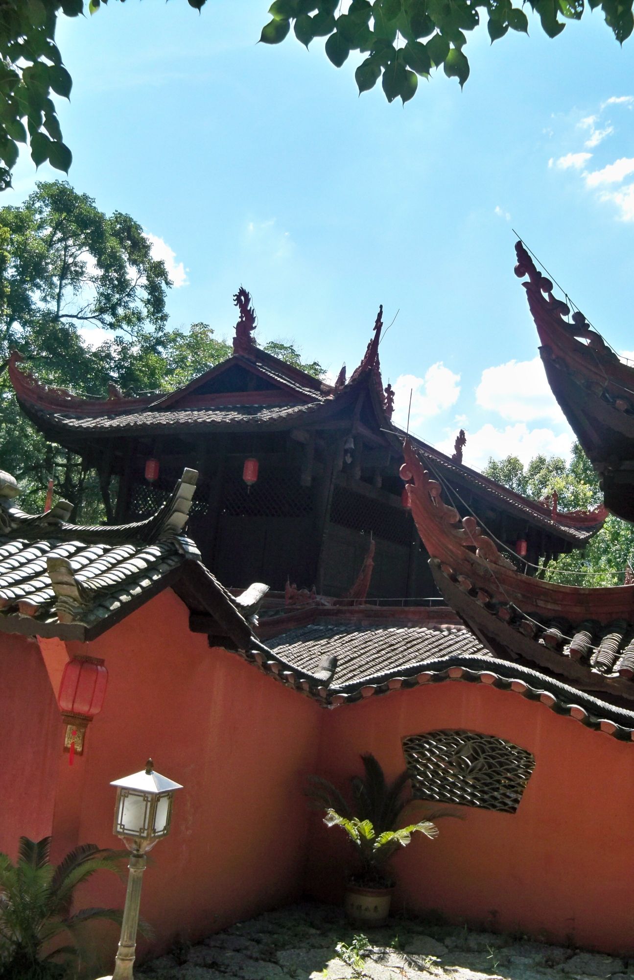 不二门国家森林公园旅行图片 2