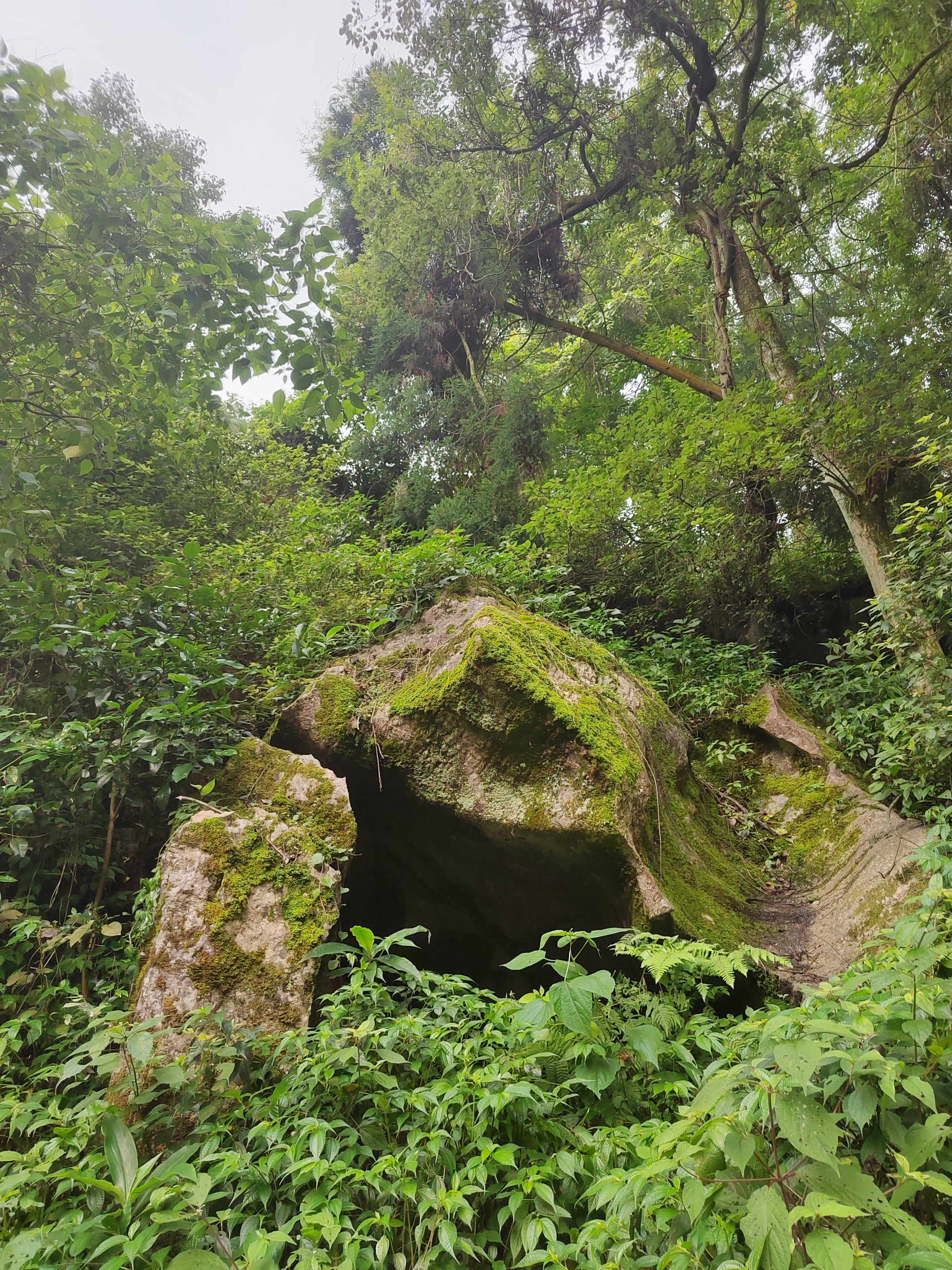 不二门国家森林公园