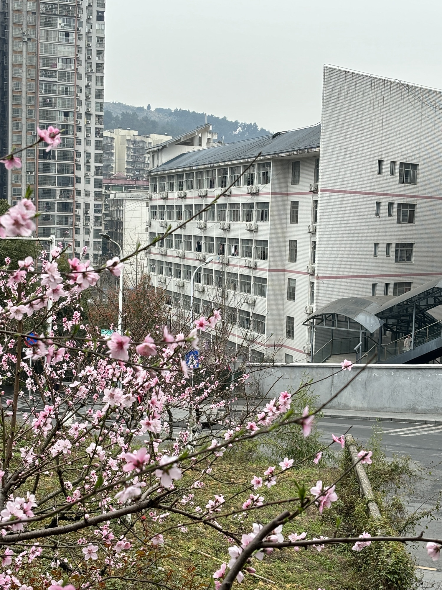 吉首大学(雷公井校区)