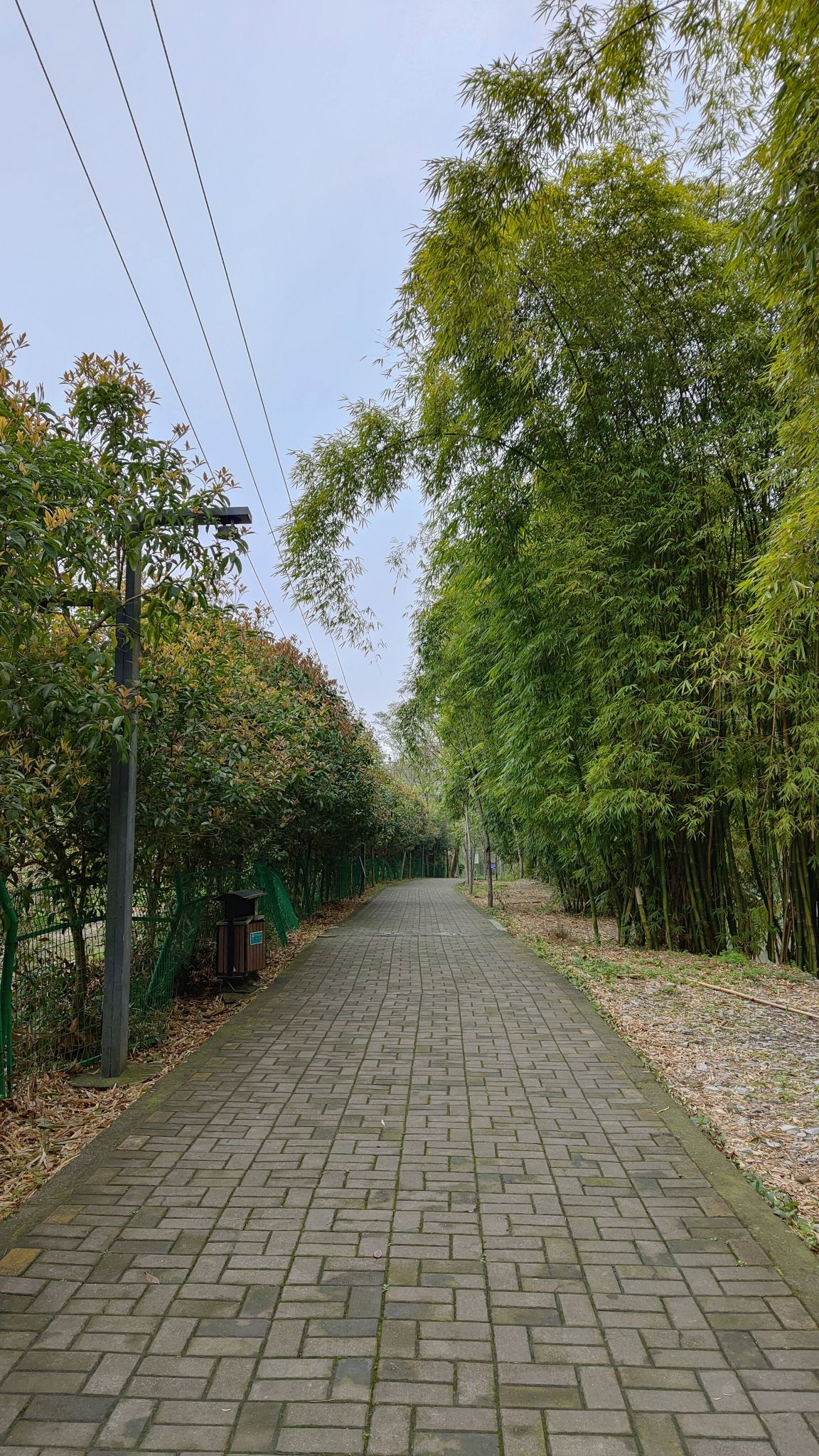 峒河游园旅行图片 1