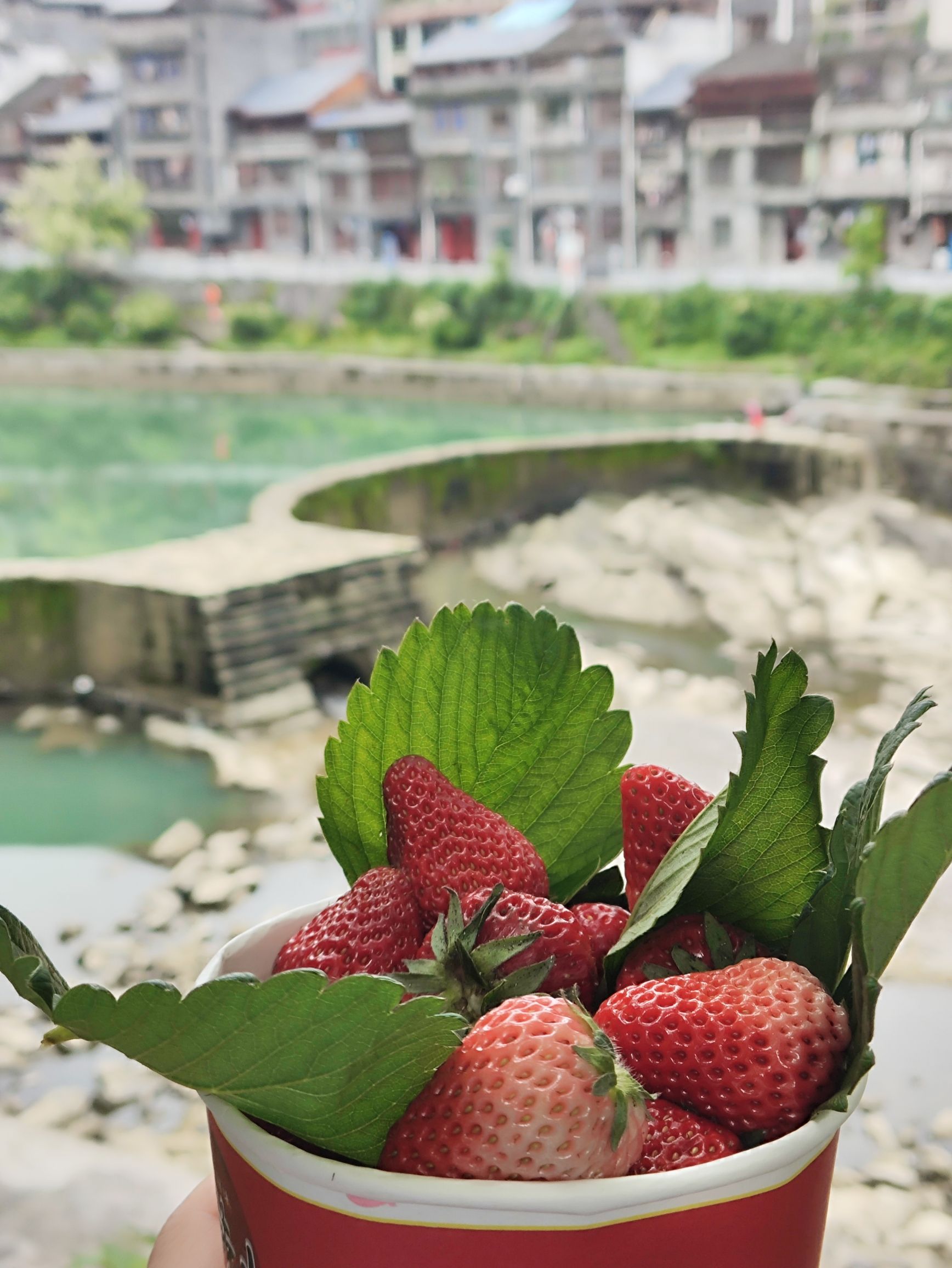 峒河游园旅行图片 2