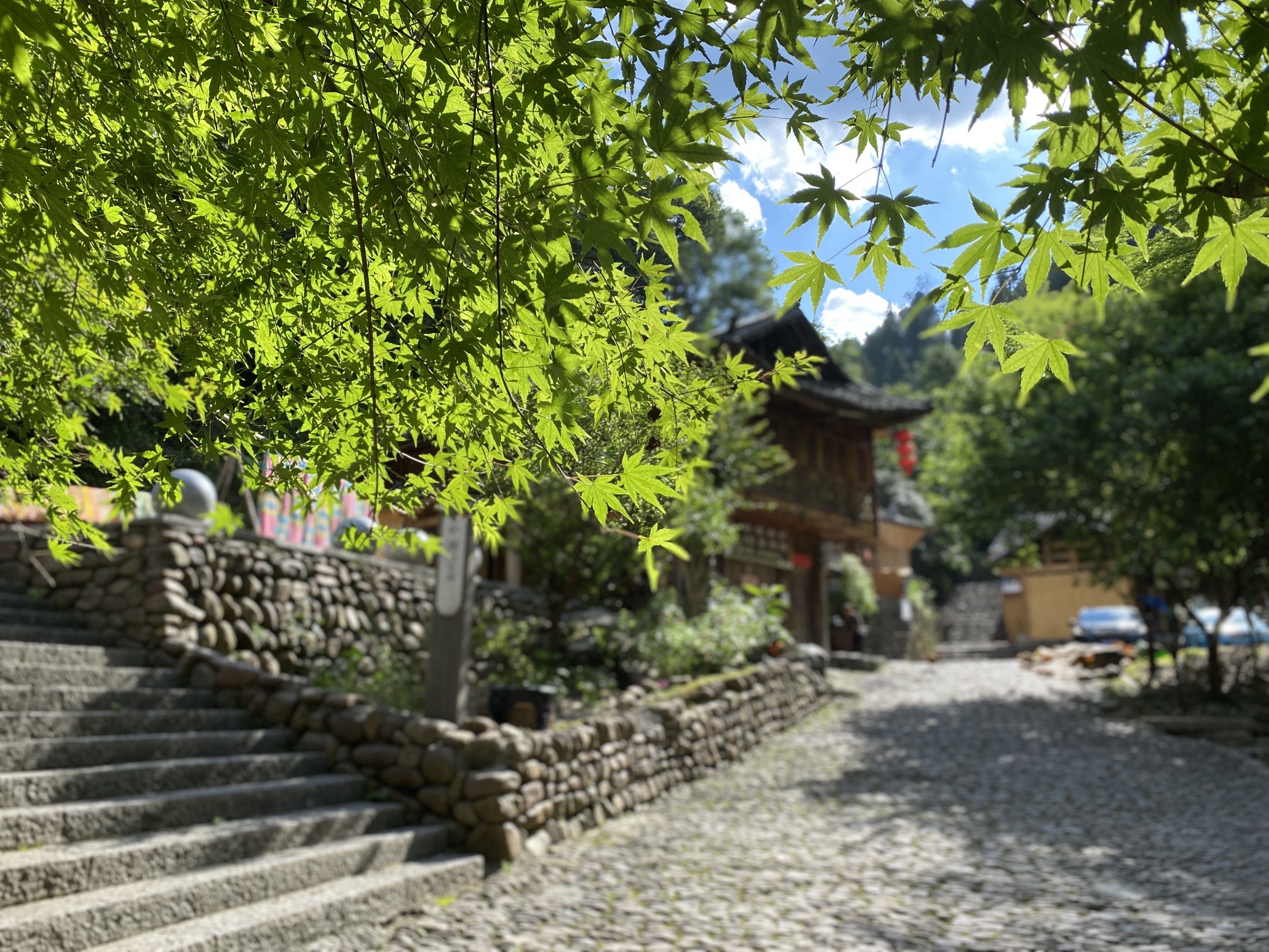 老司城国家考古遗址公园旅行图片 2