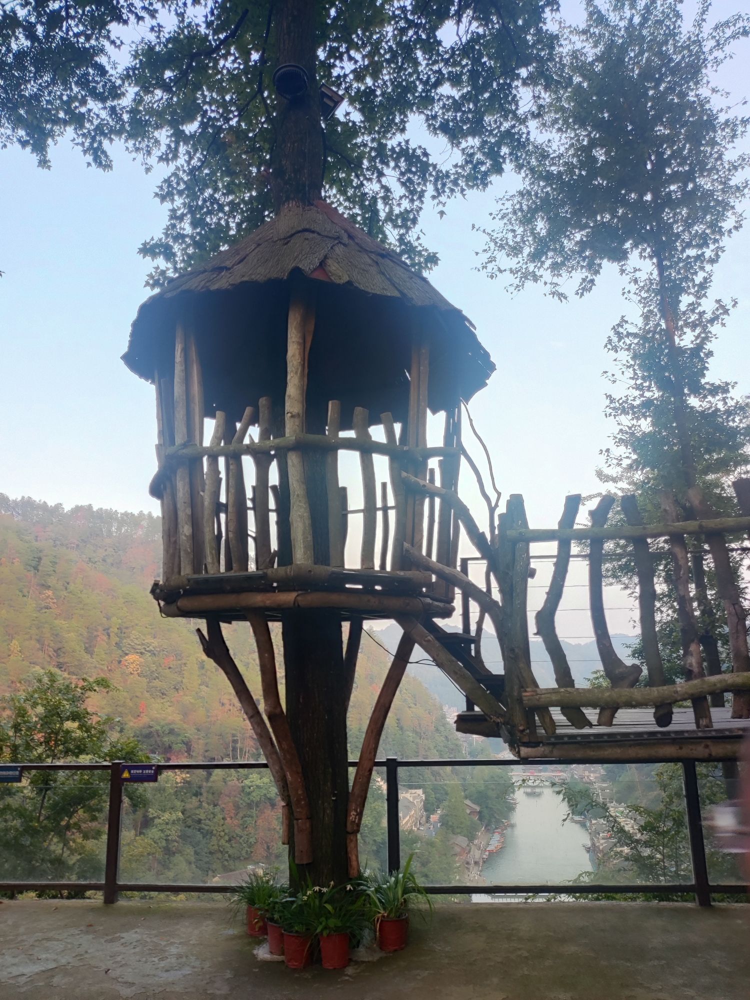 南华山国家森林公园旅行图片 3