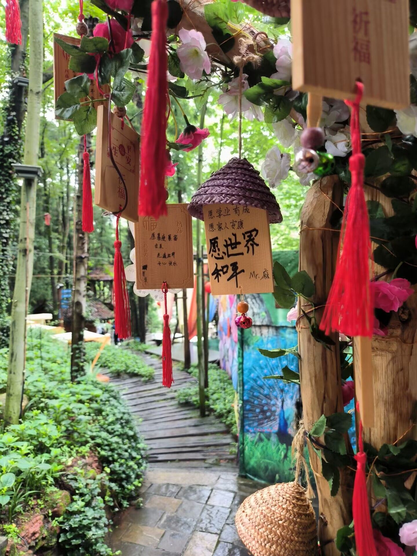 南华山国家森林公园旅行图片