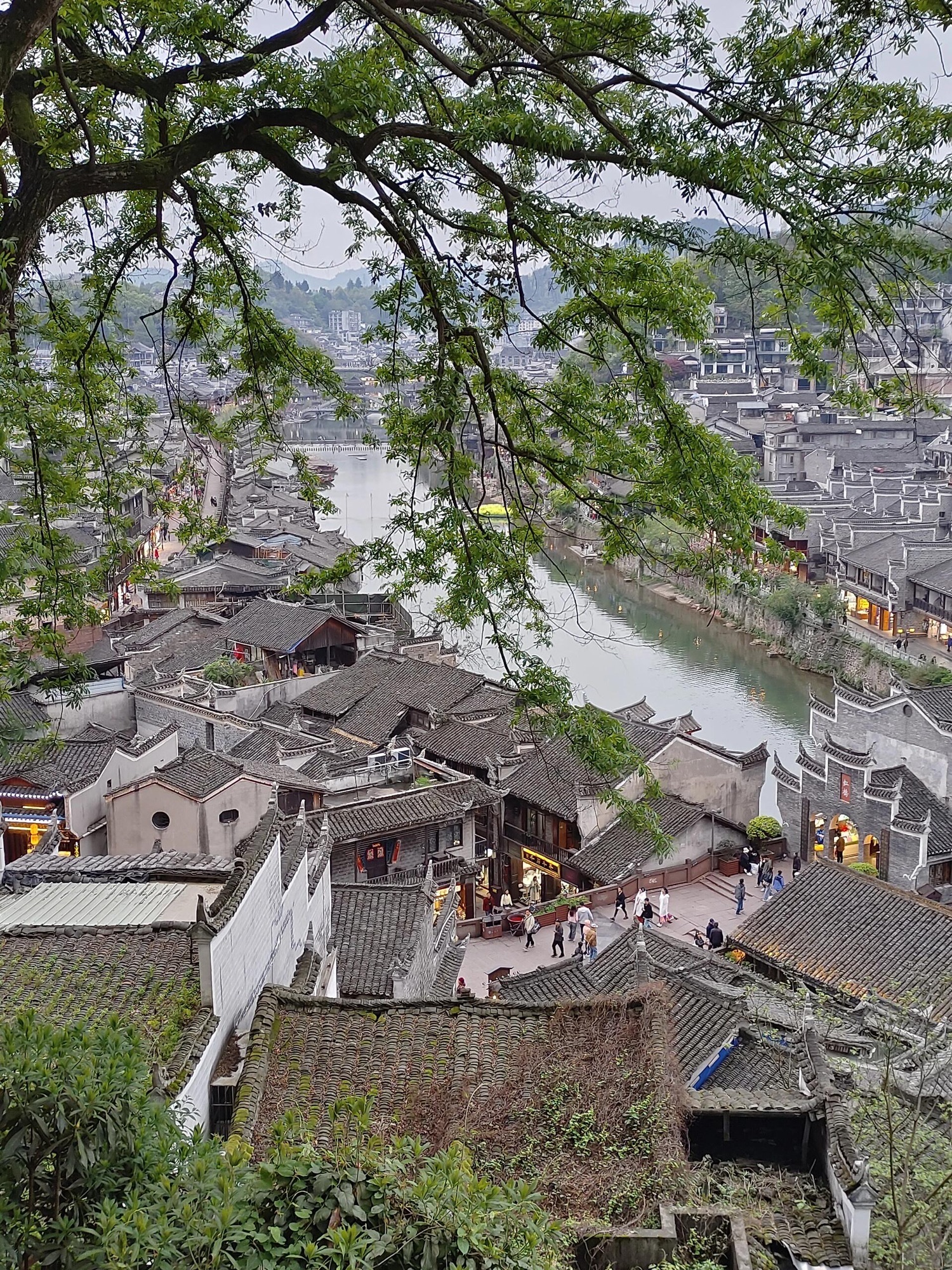 南华山国家森林公园旅行图片 3