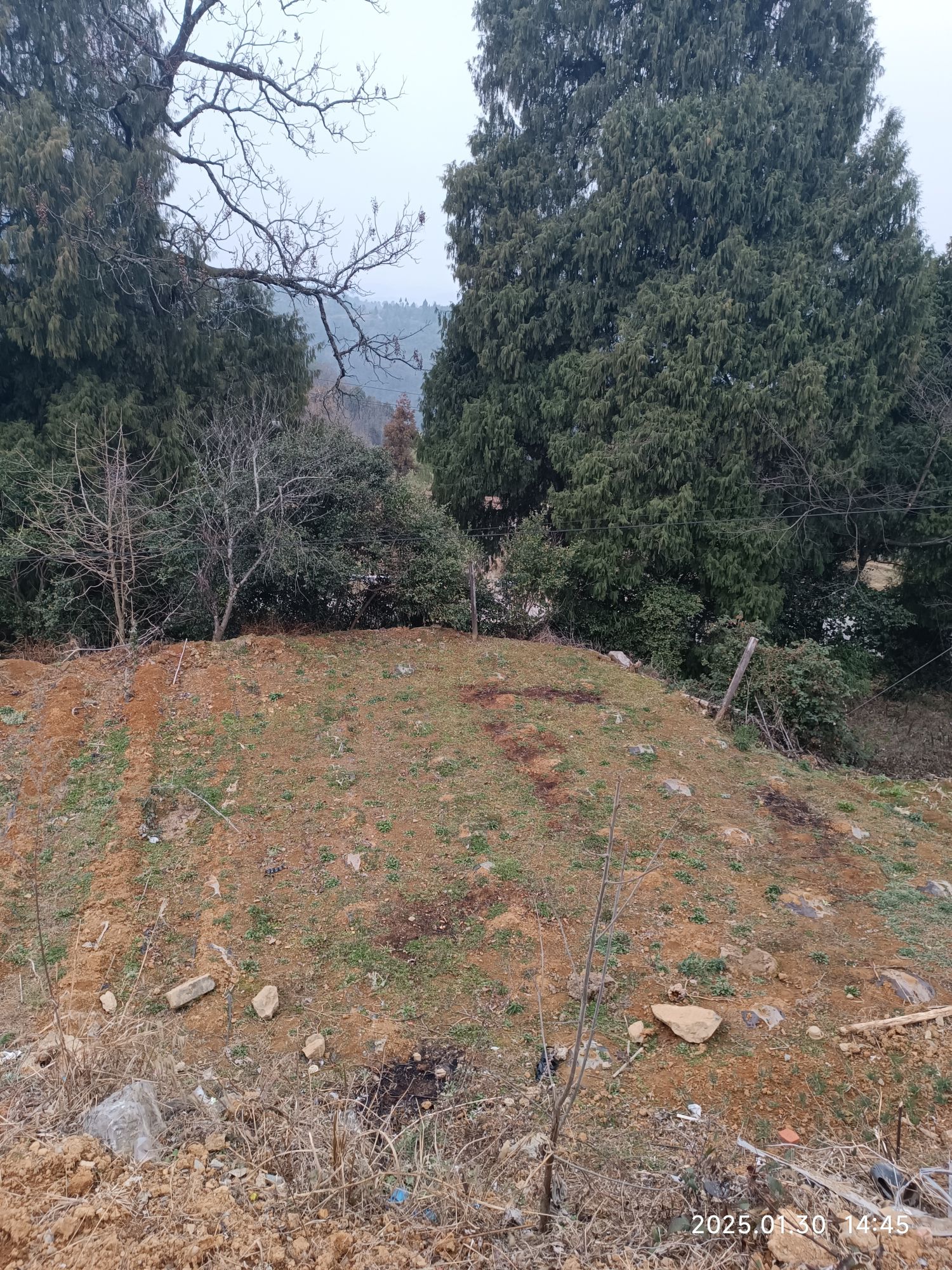 坐龙峡风景区(暂停开放)旅行图片 2