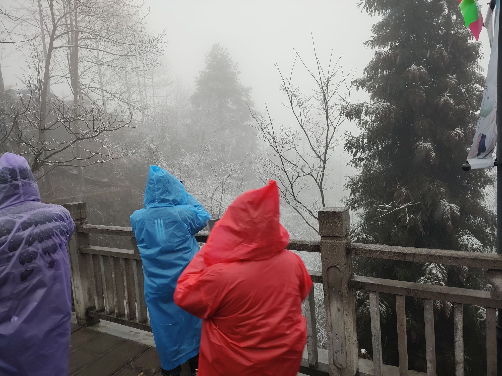天门山国家森林公园旅行图片 3