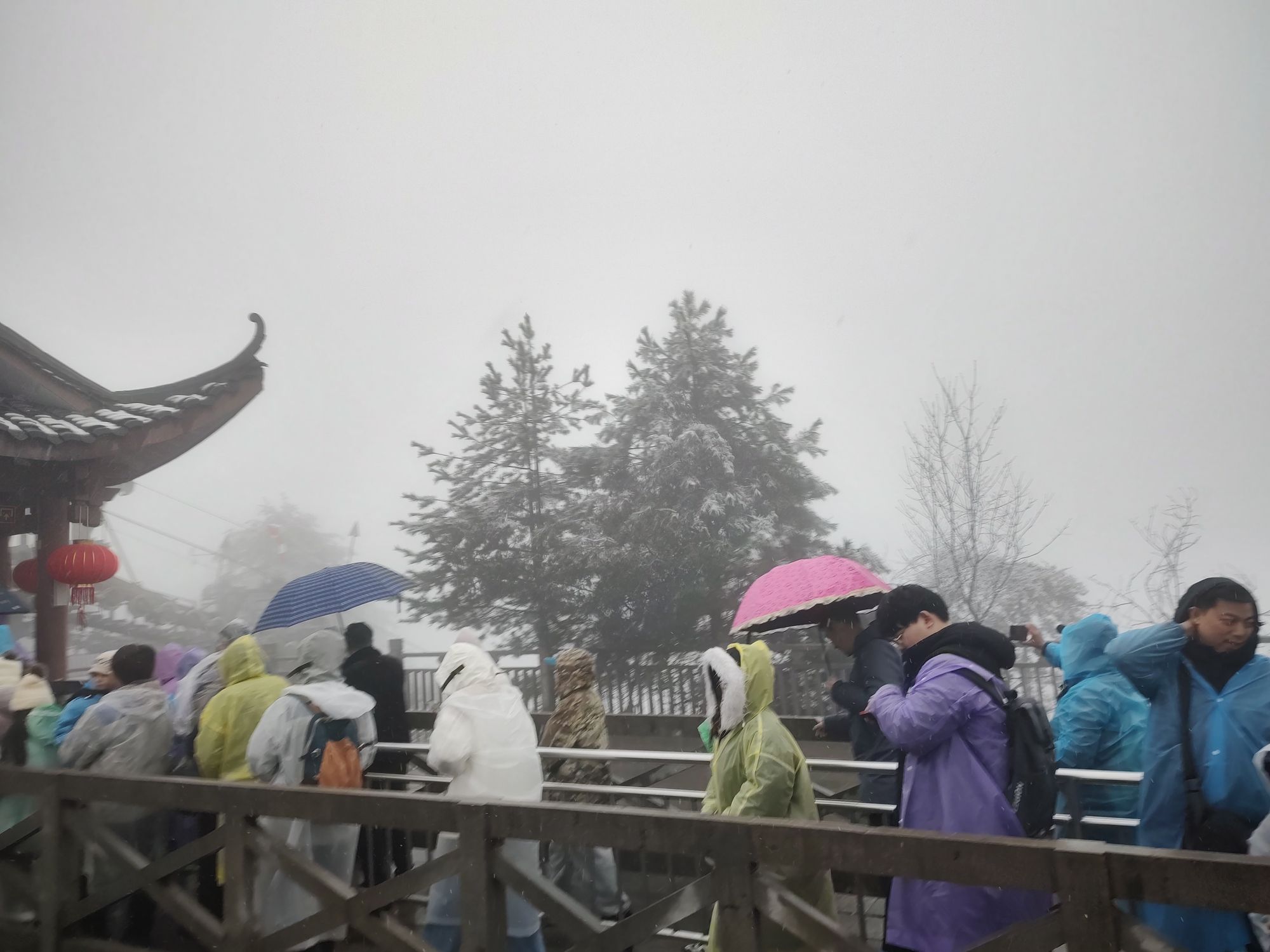 天门山国家森林公园旅行图片 1