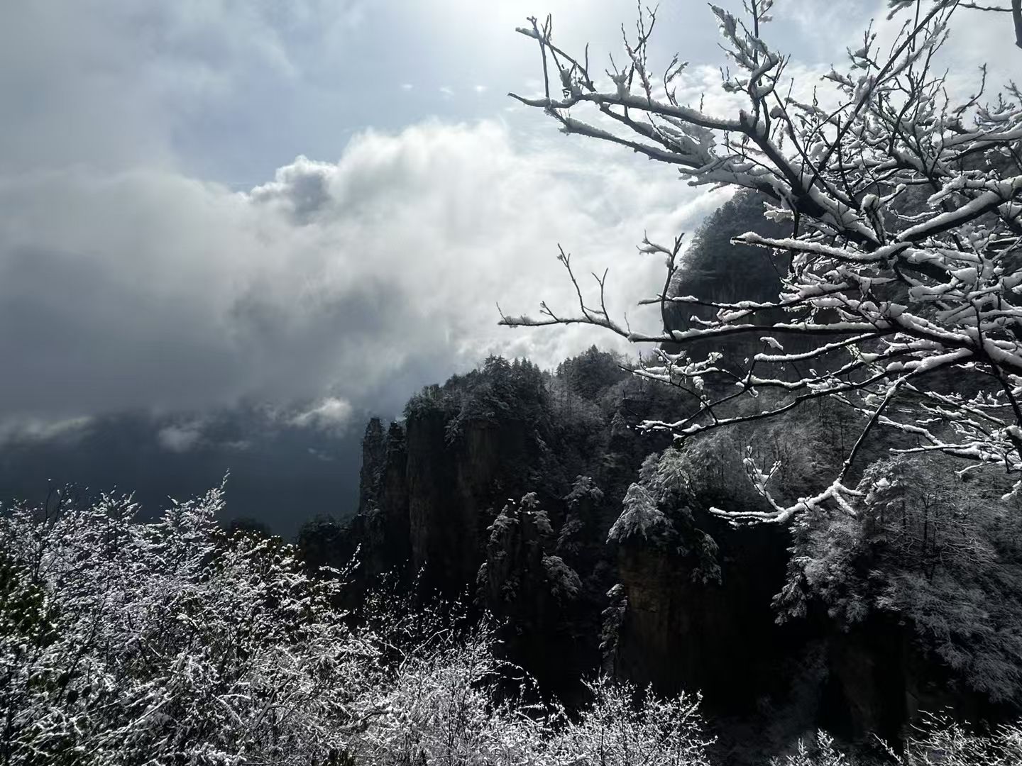天门山国家森林公园旅行图片 2