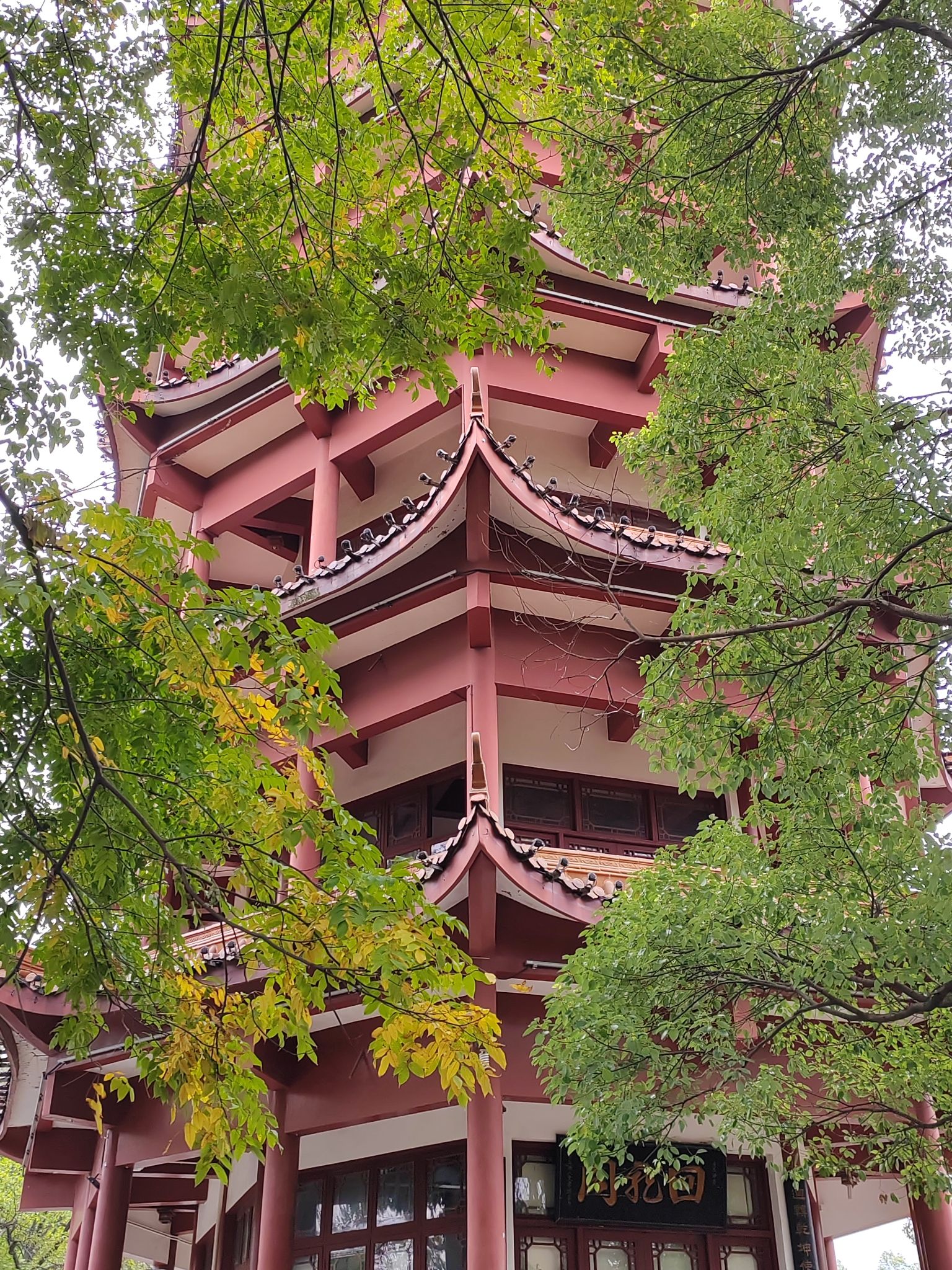 迴龙公园旅行图片 1