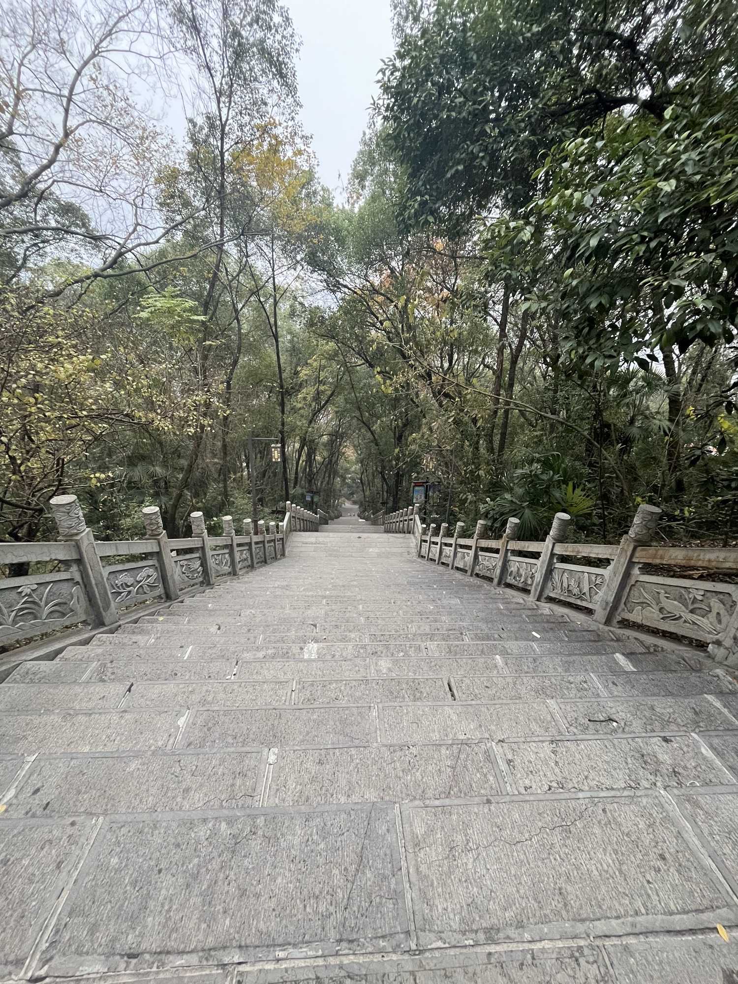 迴龙公园旅行图片 1