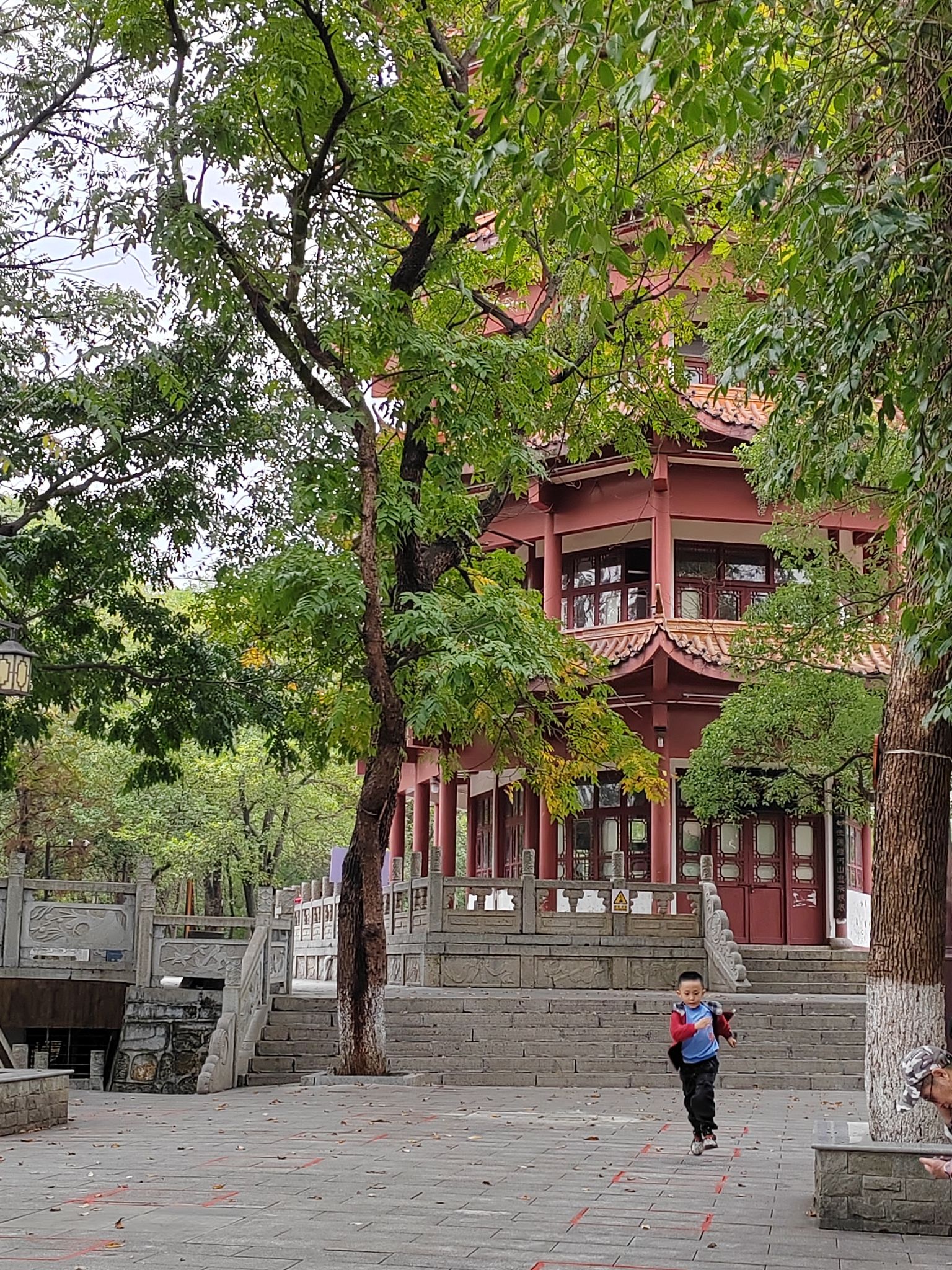 迴龙公园旅行图片 3