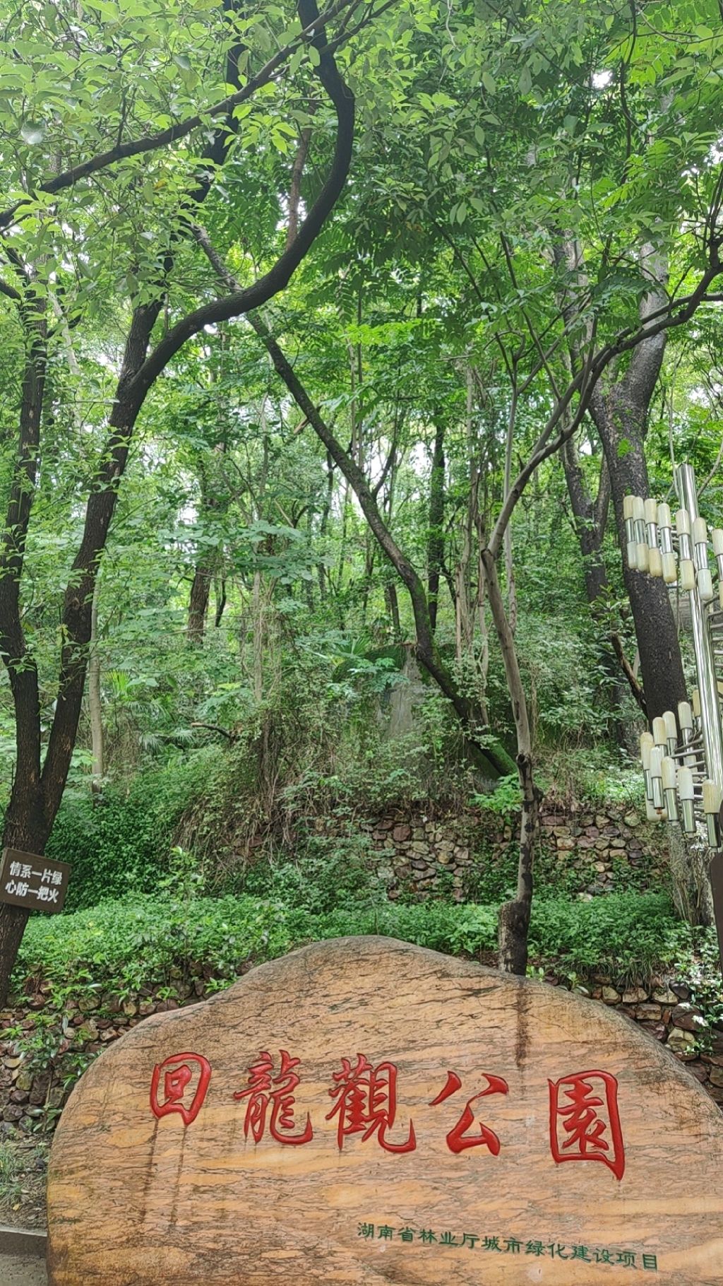 迴龙公园旅行图片 1