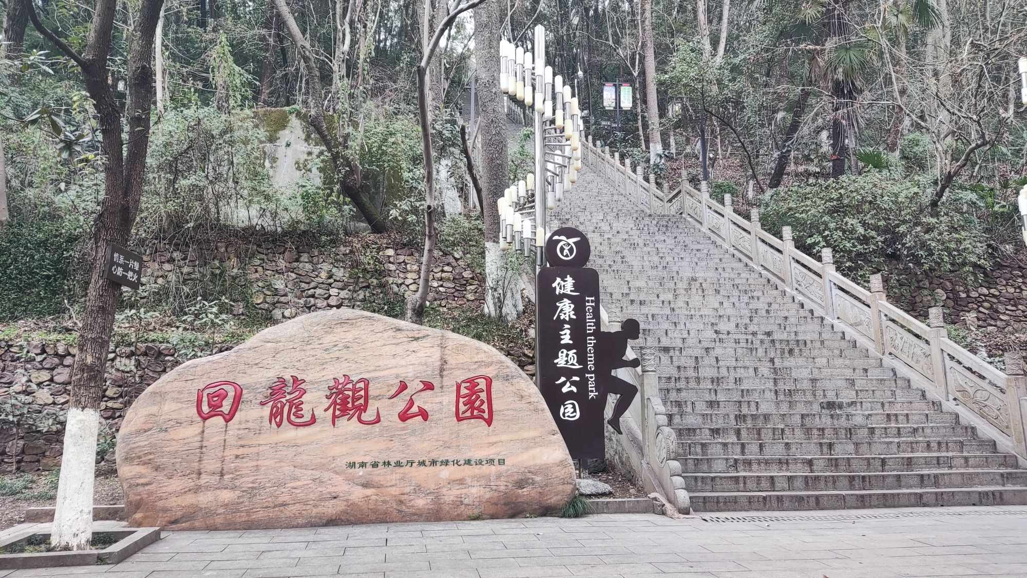 迴龙公园旅行图片 1
