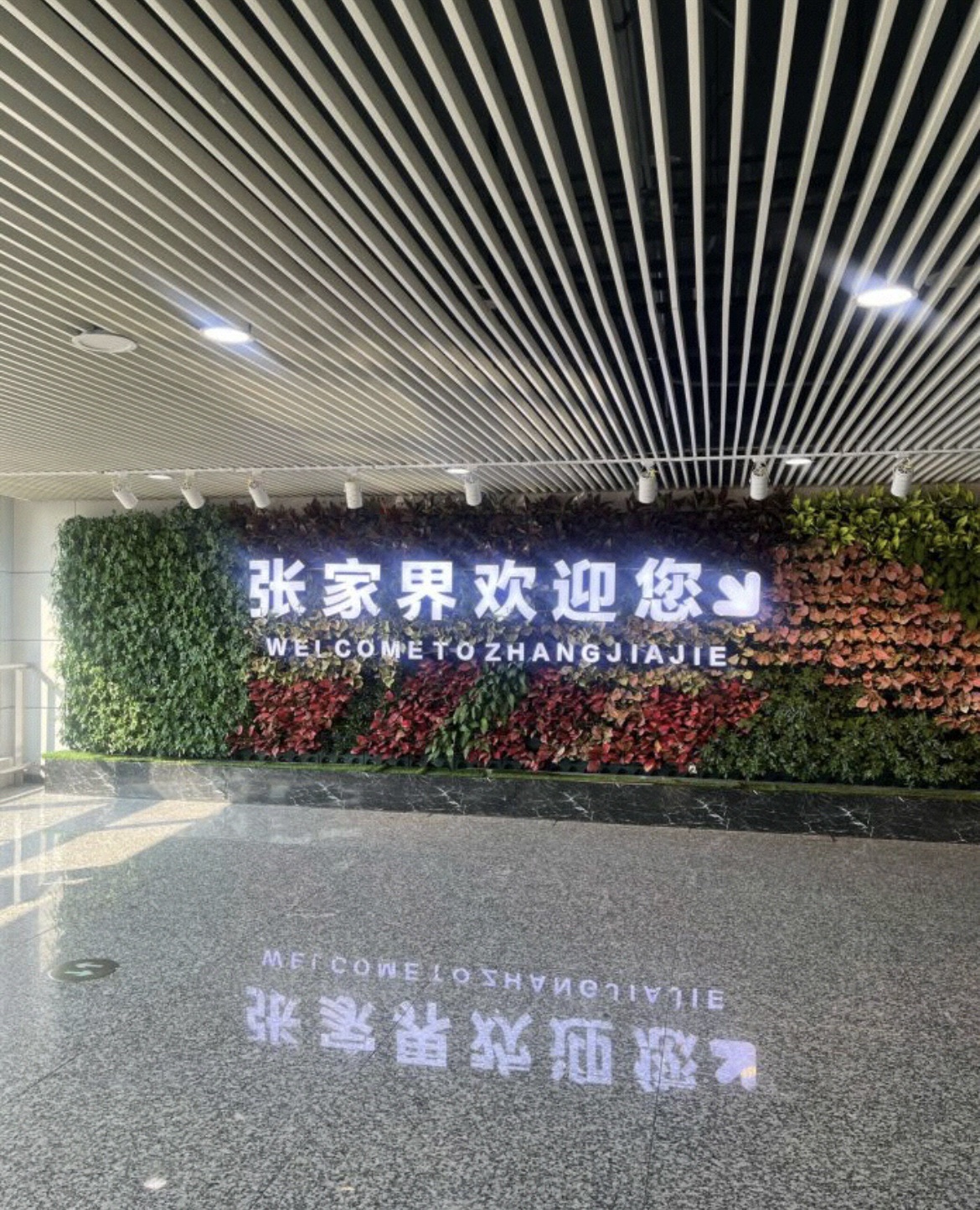 大庸桥公园旅行图片 3