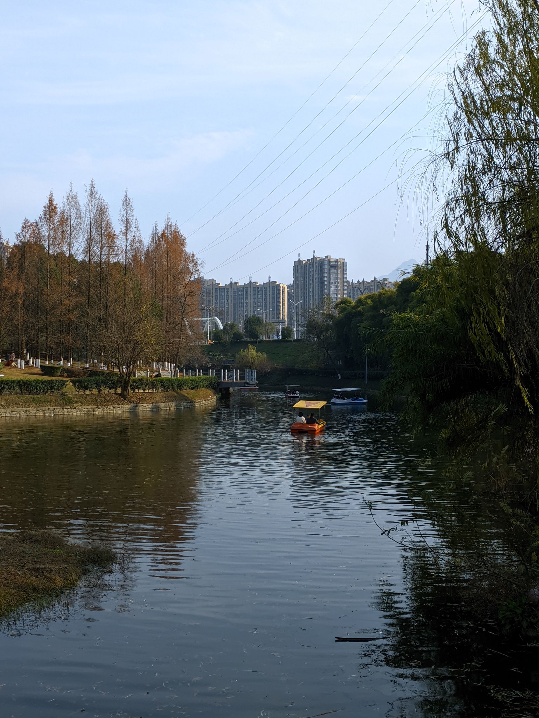 大庸桥公园旅行图片 1