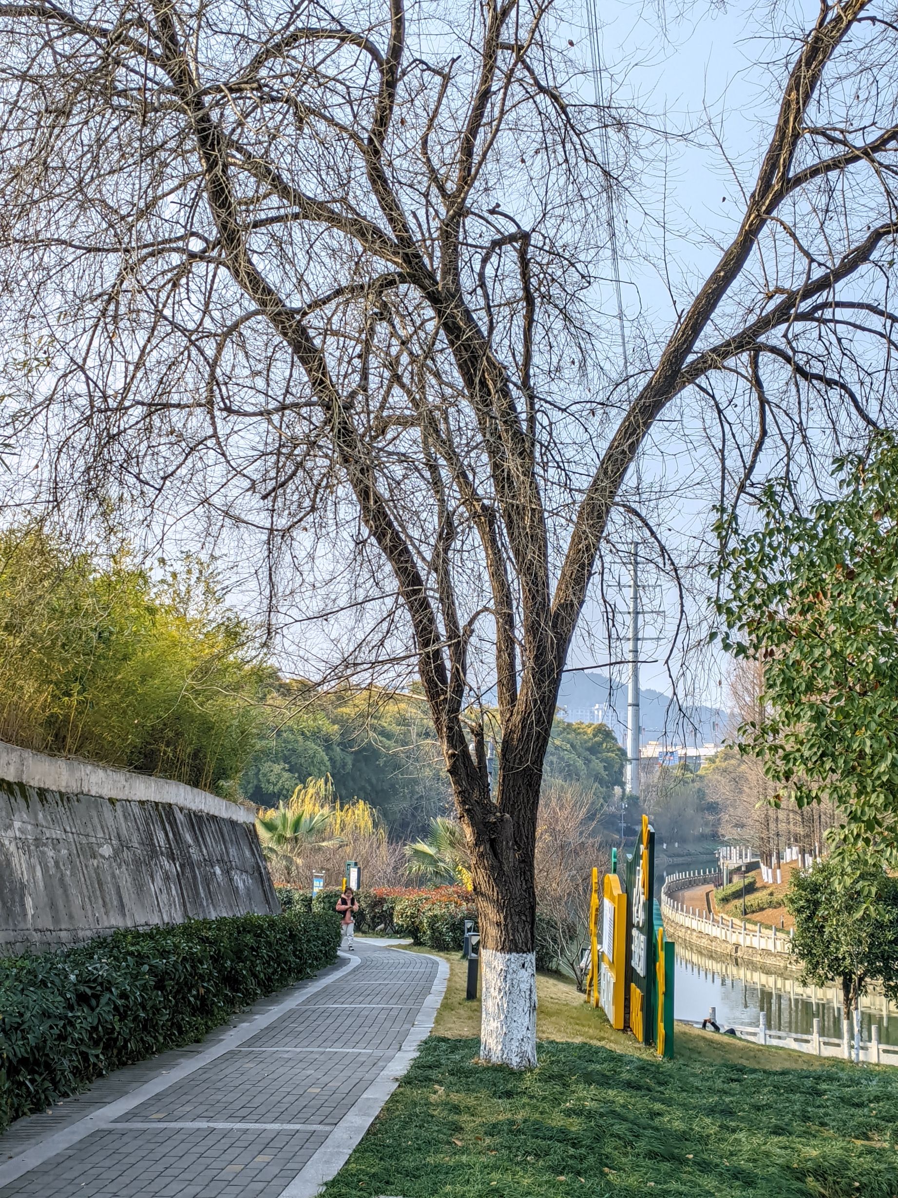 大庸桥公园旅行图片 1