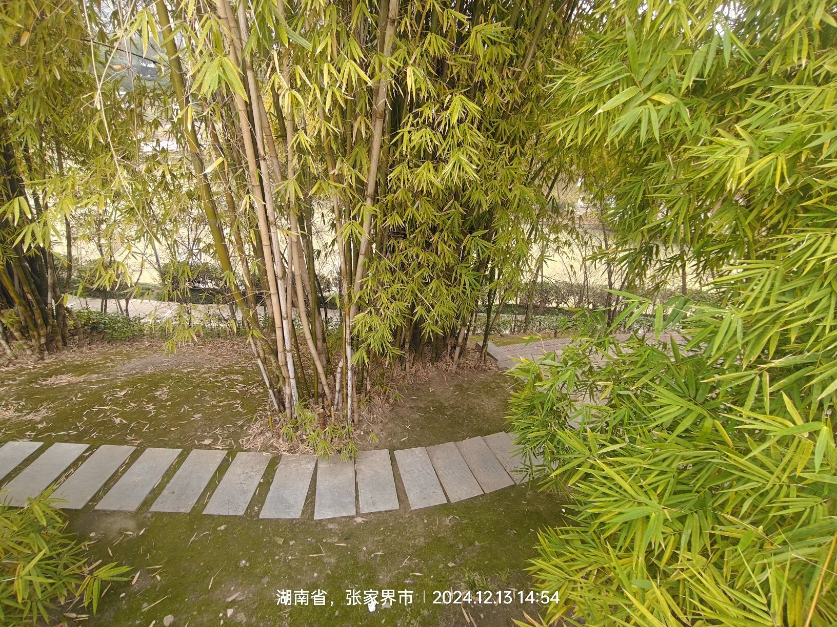 大庸桥公园旅行图片 3