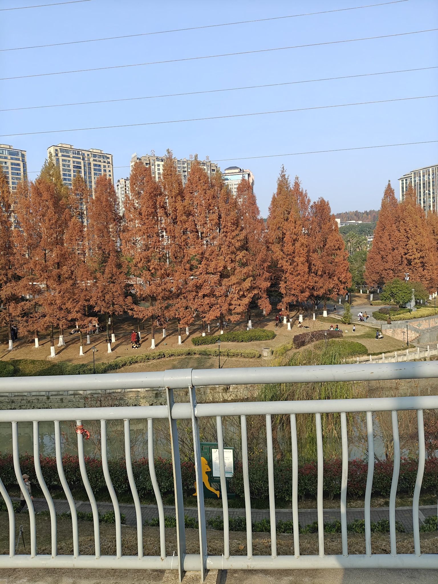大庸桥公园旅行图片 1