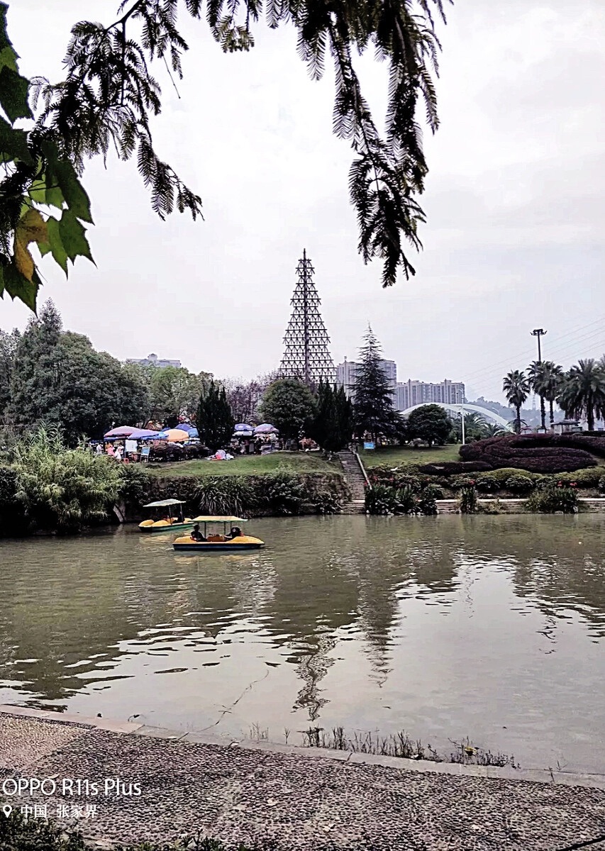 大庸桥公园旅行图片 1