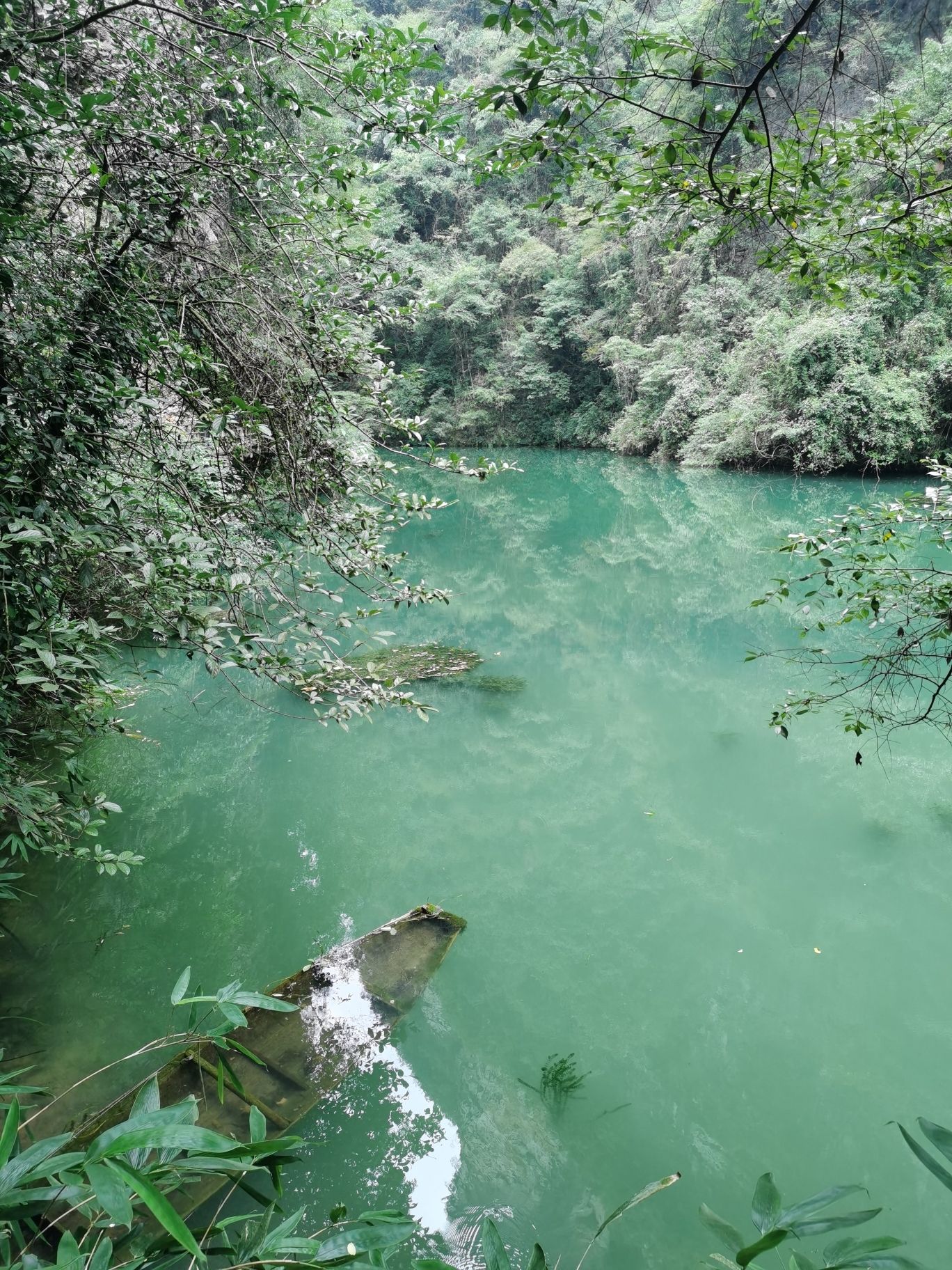张家界大峡谷旅行图片 1