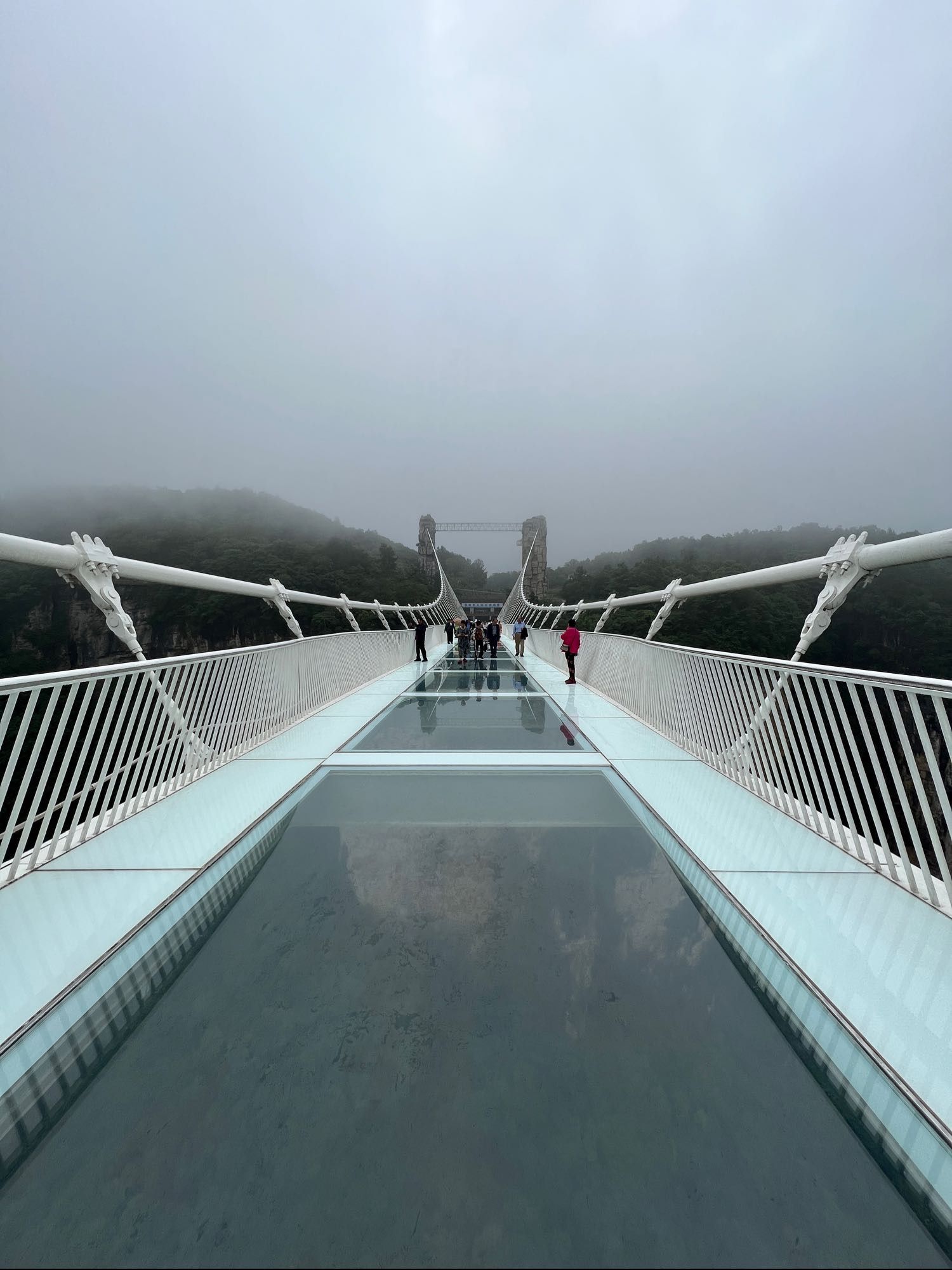 张家界大峡谷旅行图片 3