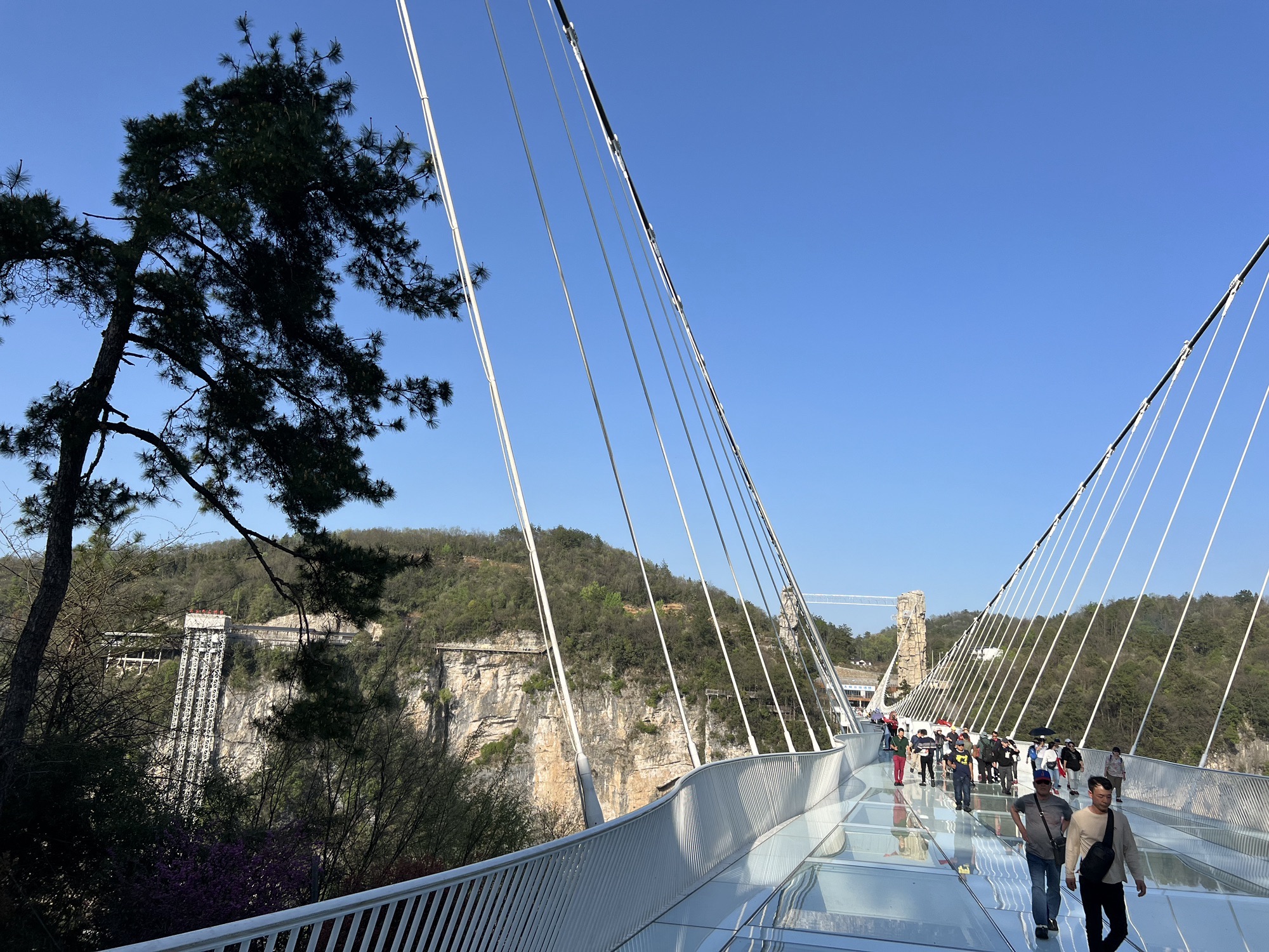张家界大峡谷旅行图片 3