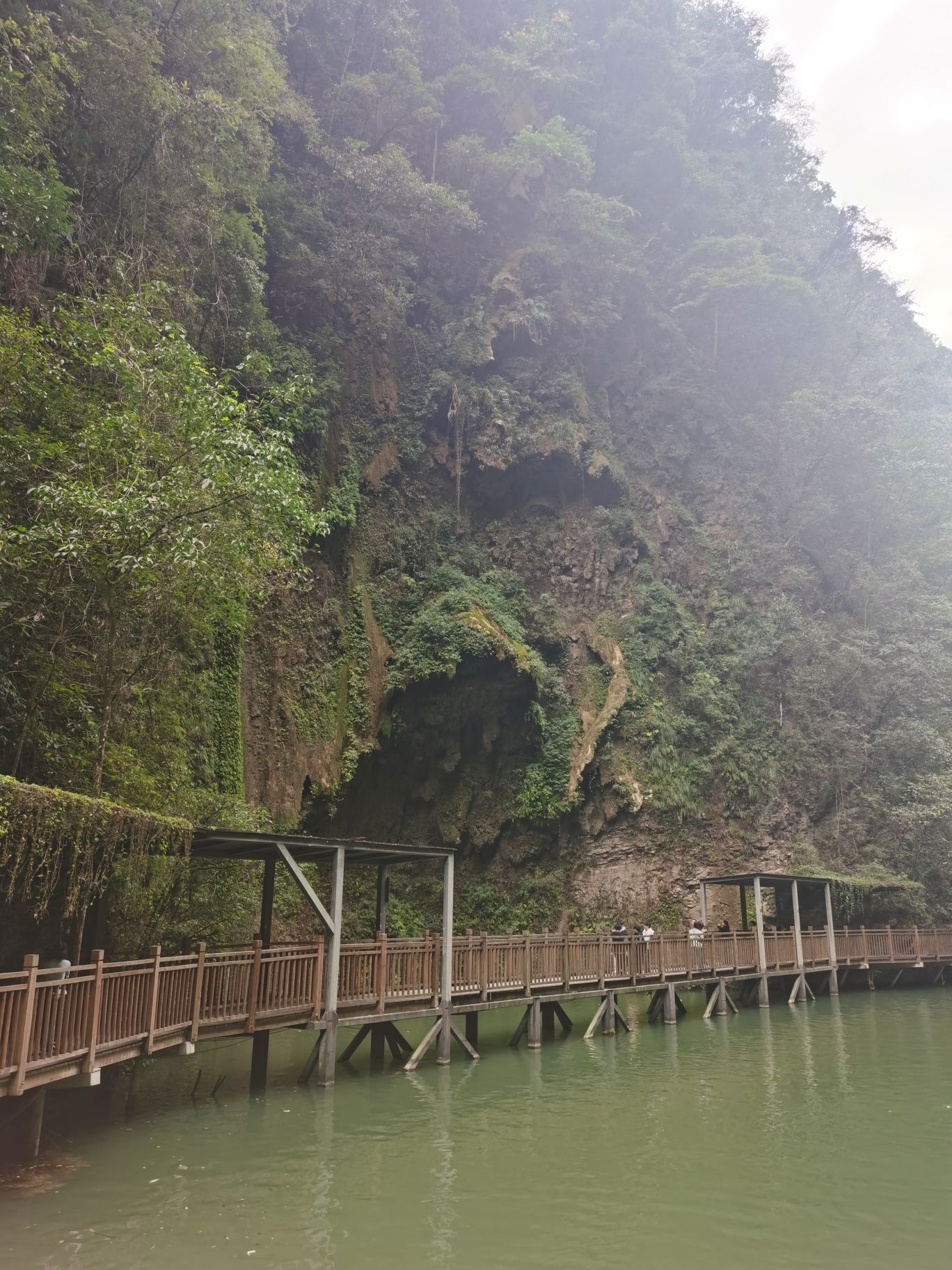 张家界大峡谷旅行图片 2