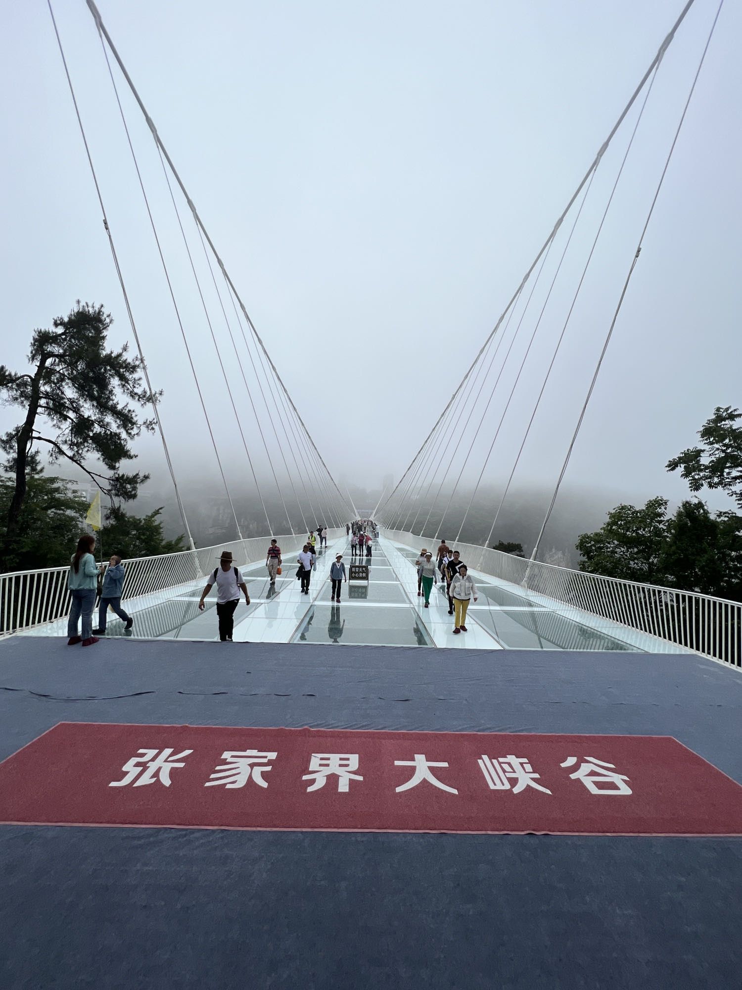 张家界大峡谷旅行图片 2