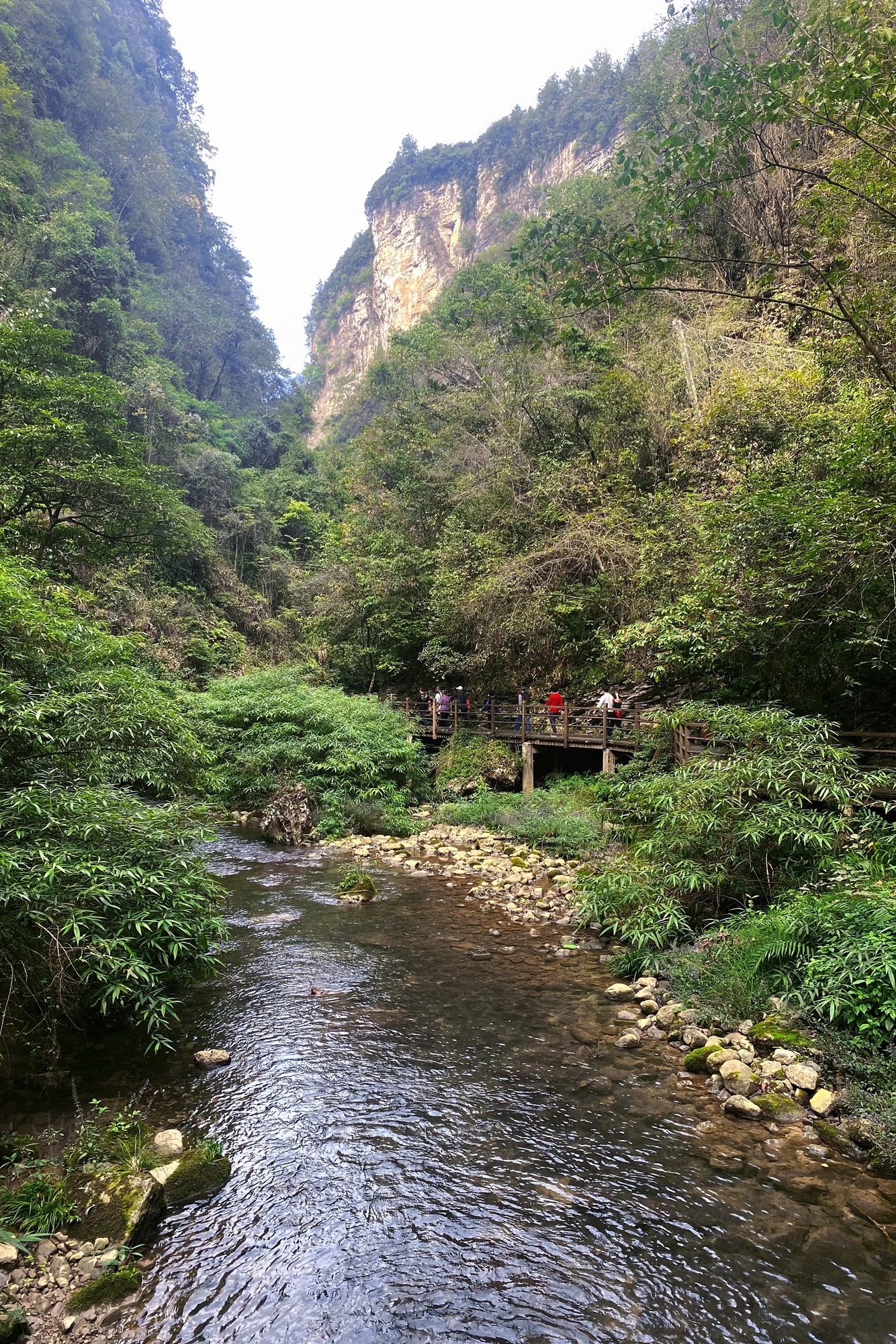 张家界大峡谷旅行图片 1