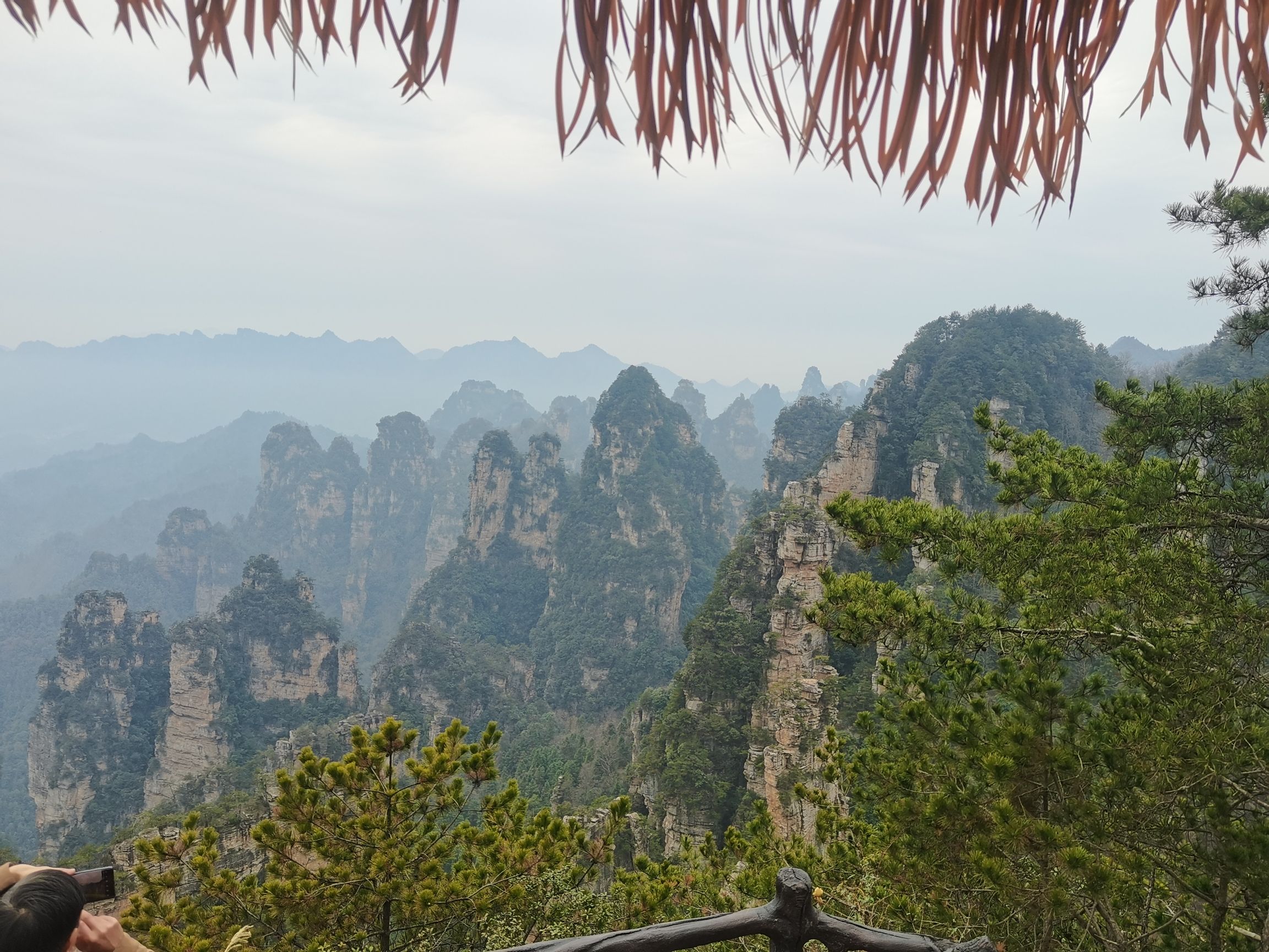 武陵源风景名胜区旅行图片 1