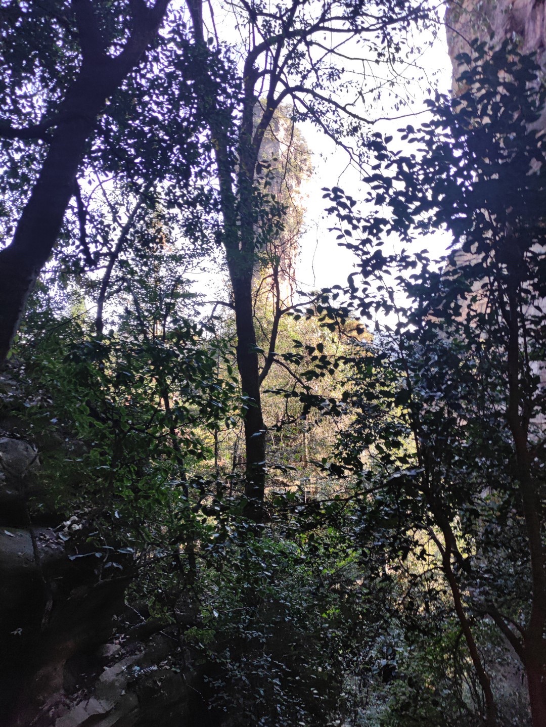 武陵源风景名胜区旅行图片 3