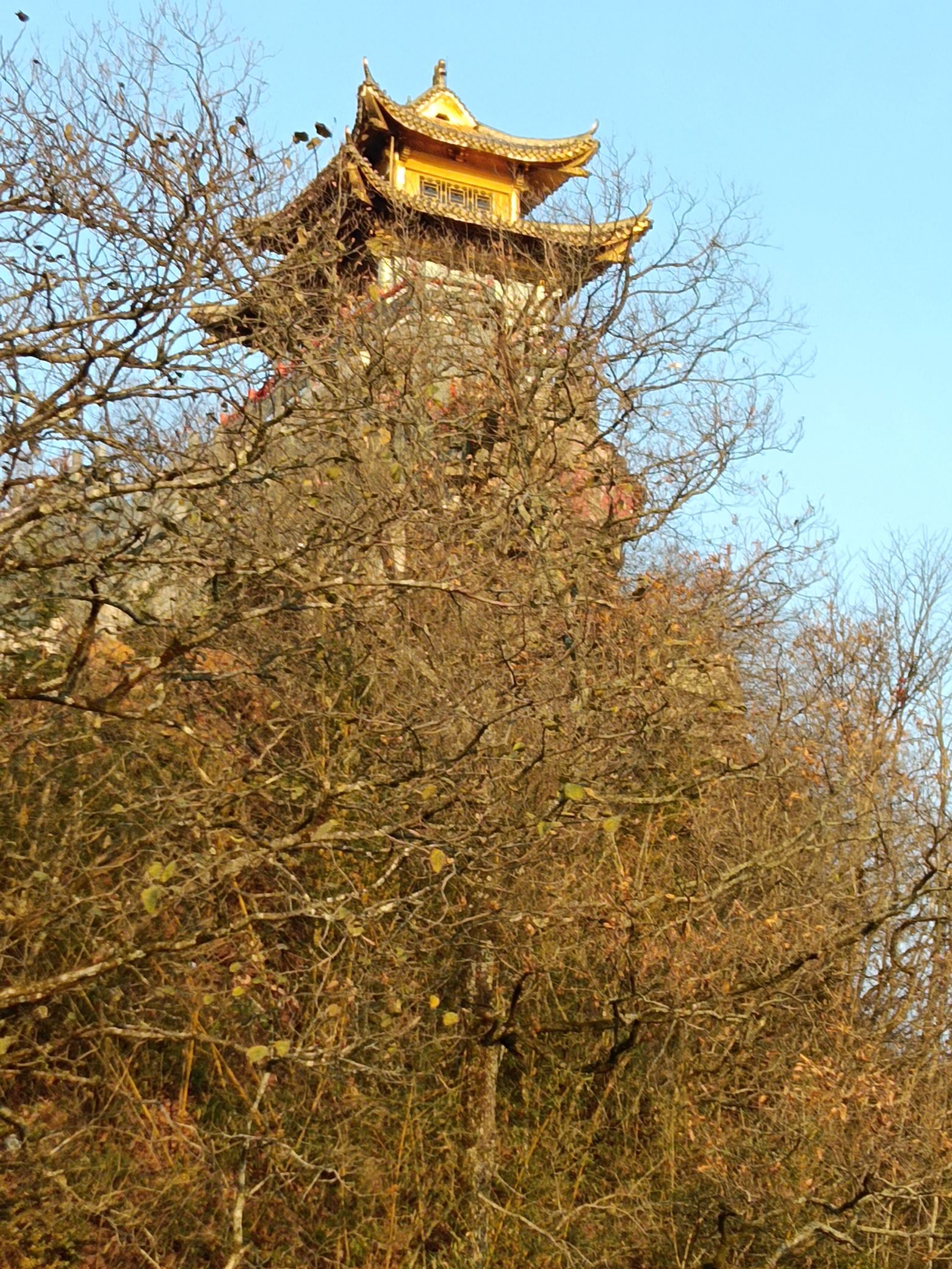 飞山寨旅行图片 3