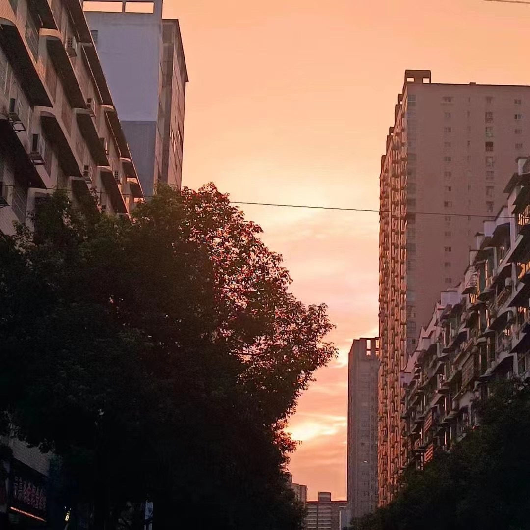 香洲广场旅行图片 1