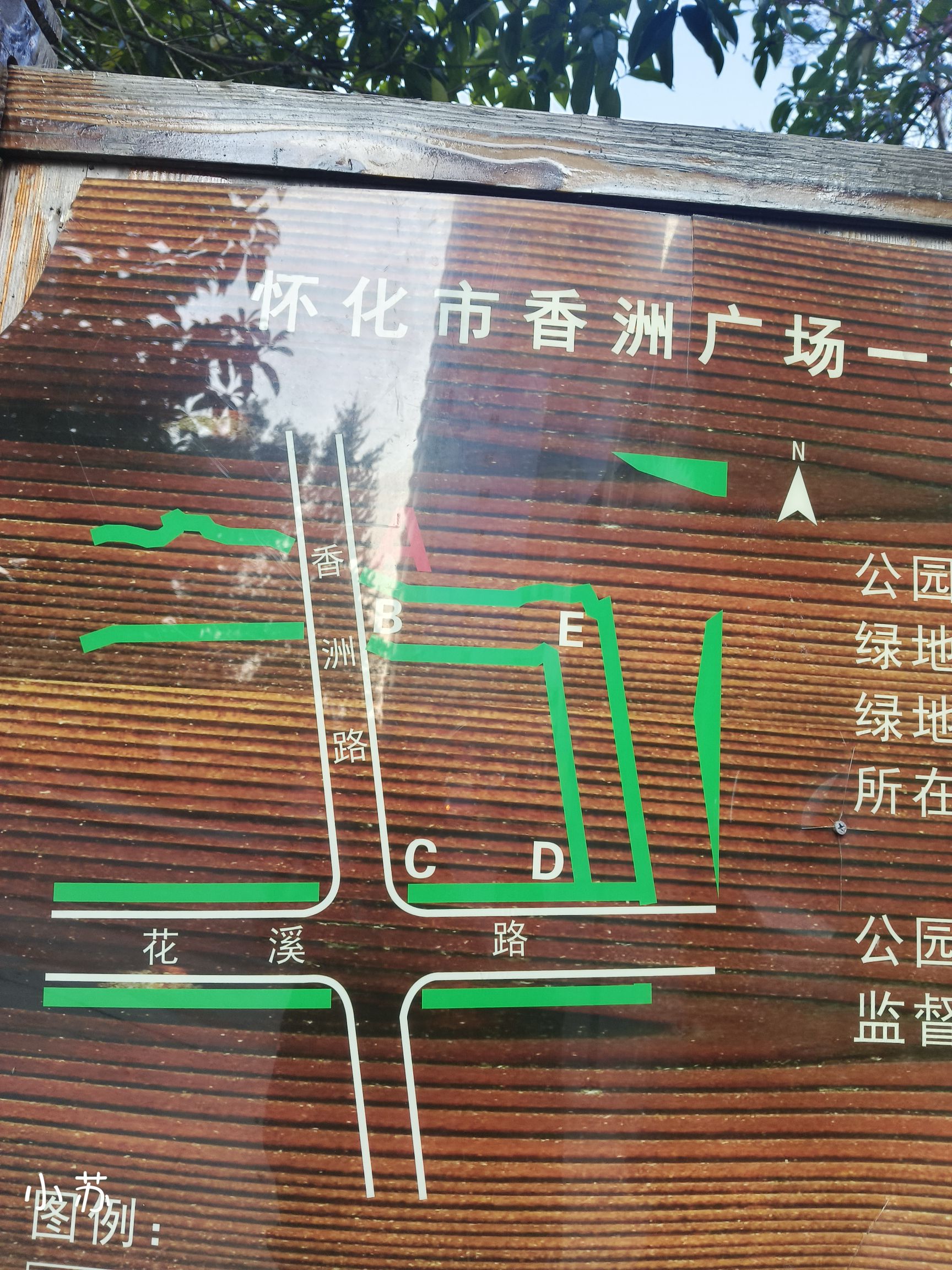 香洲广场旅行图片 2