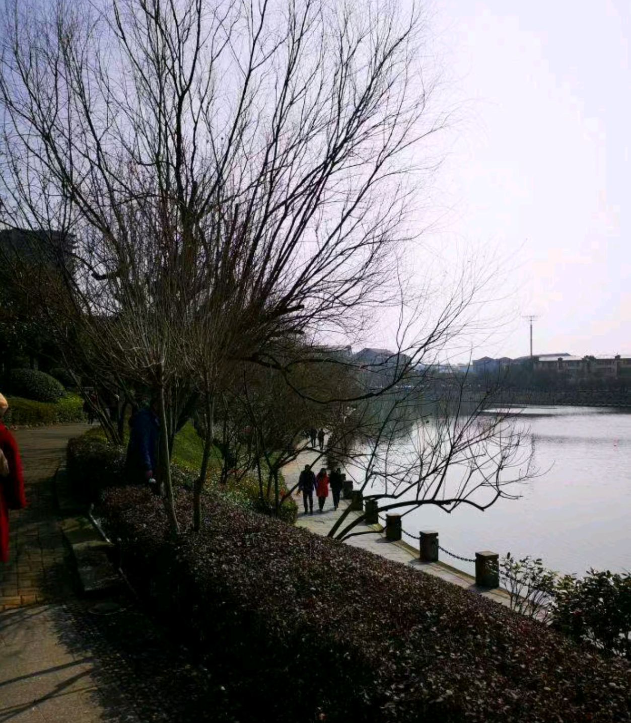 舞阳公园旅行图片 1