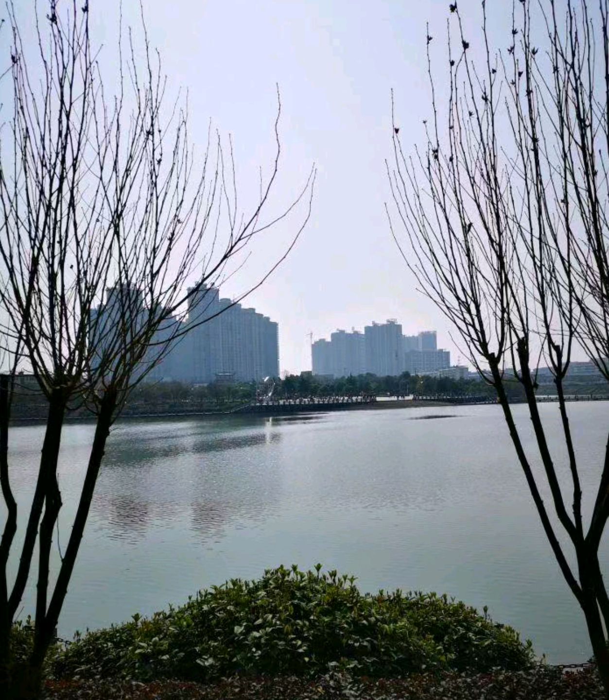 舞阳公园
