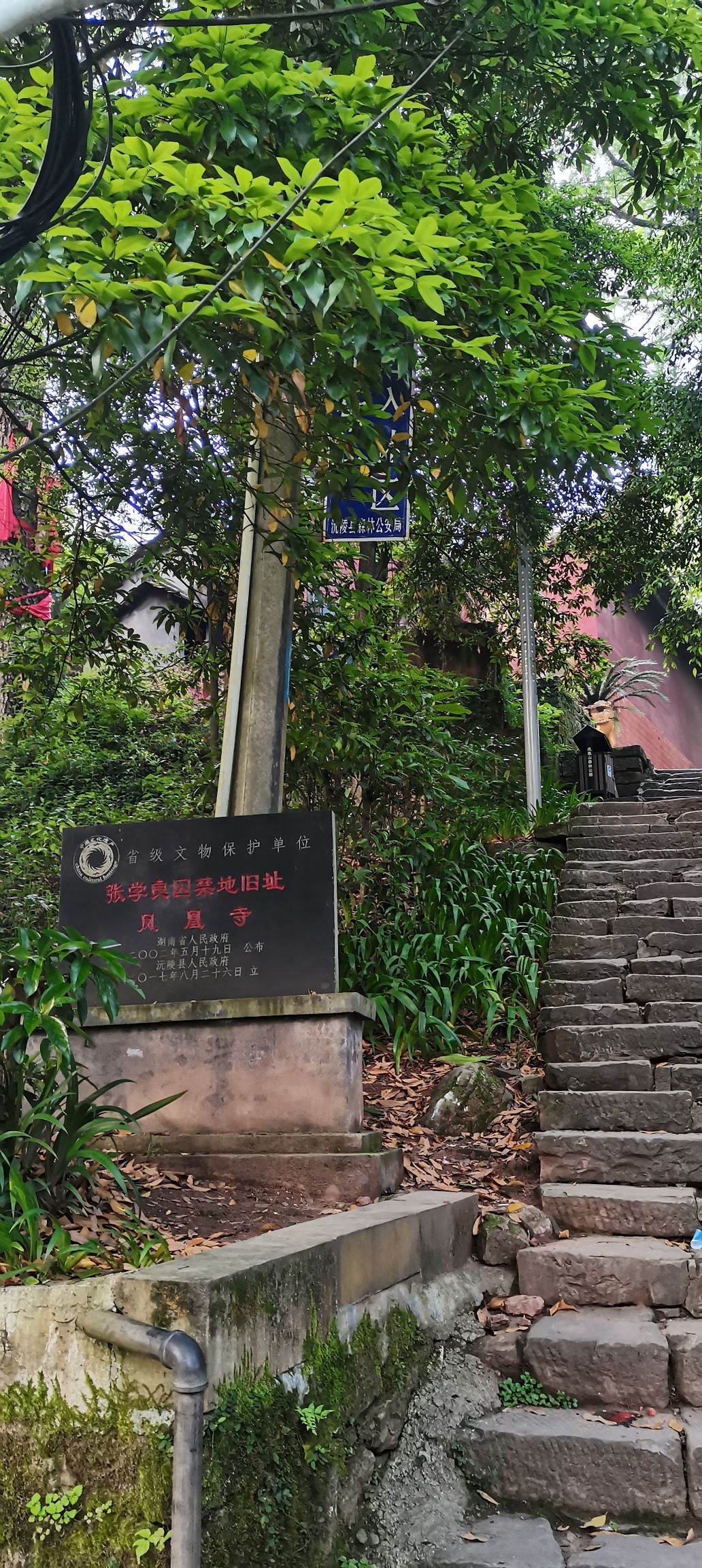 凤凰山森林公园旅行图片 3