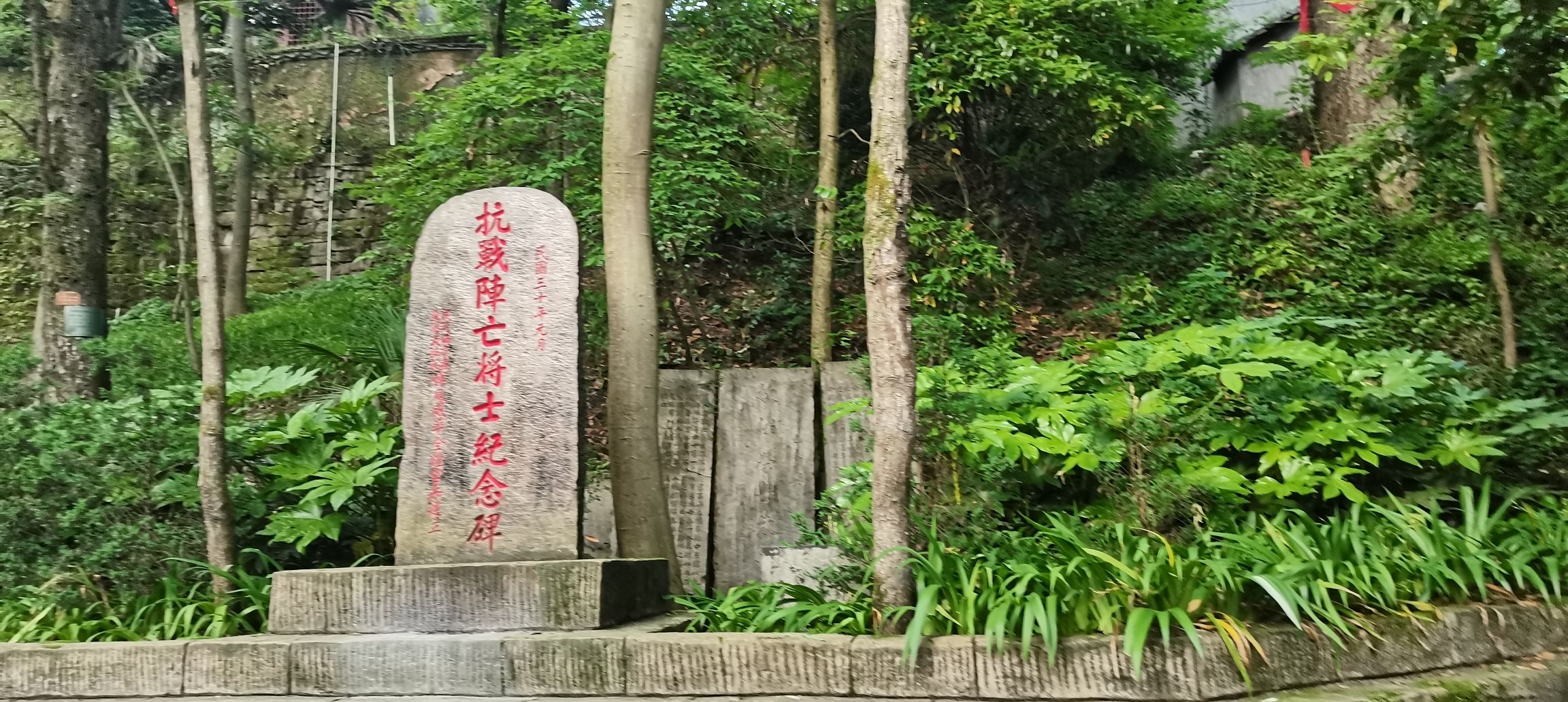 凤凰山森林公园旅行图片 2