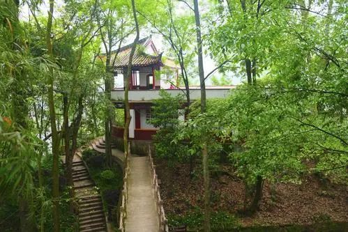 凤凰山森林公园旅行图片 2