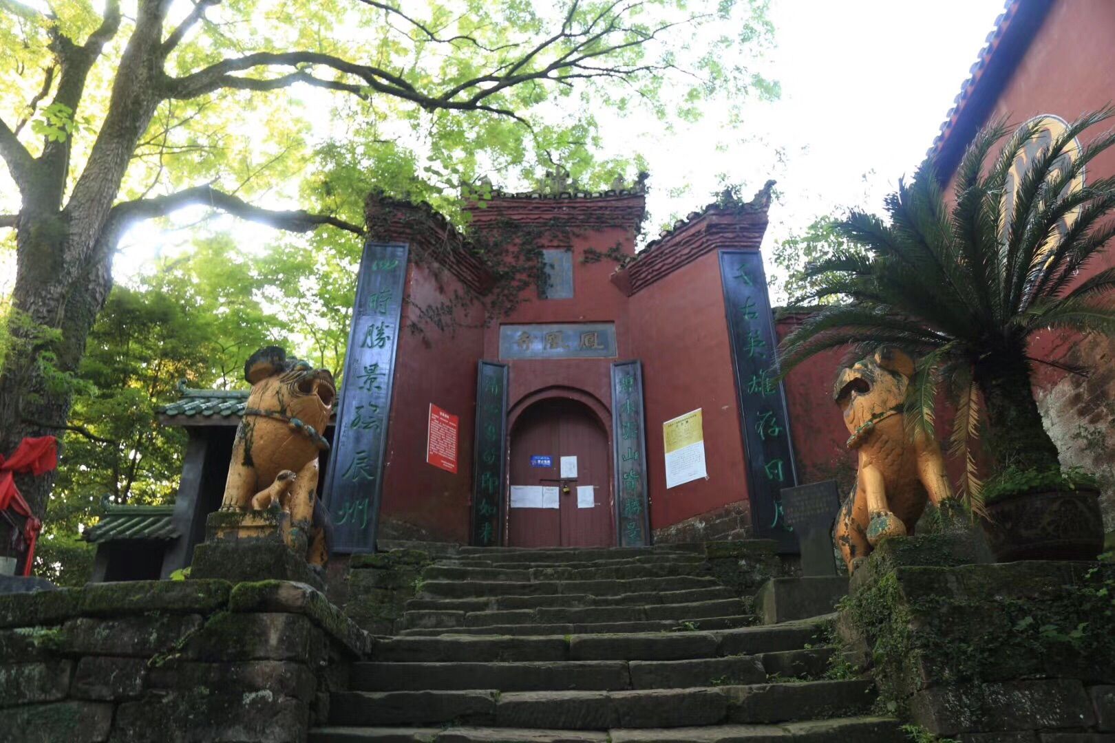 凤凰山森林公园旅行图片 3