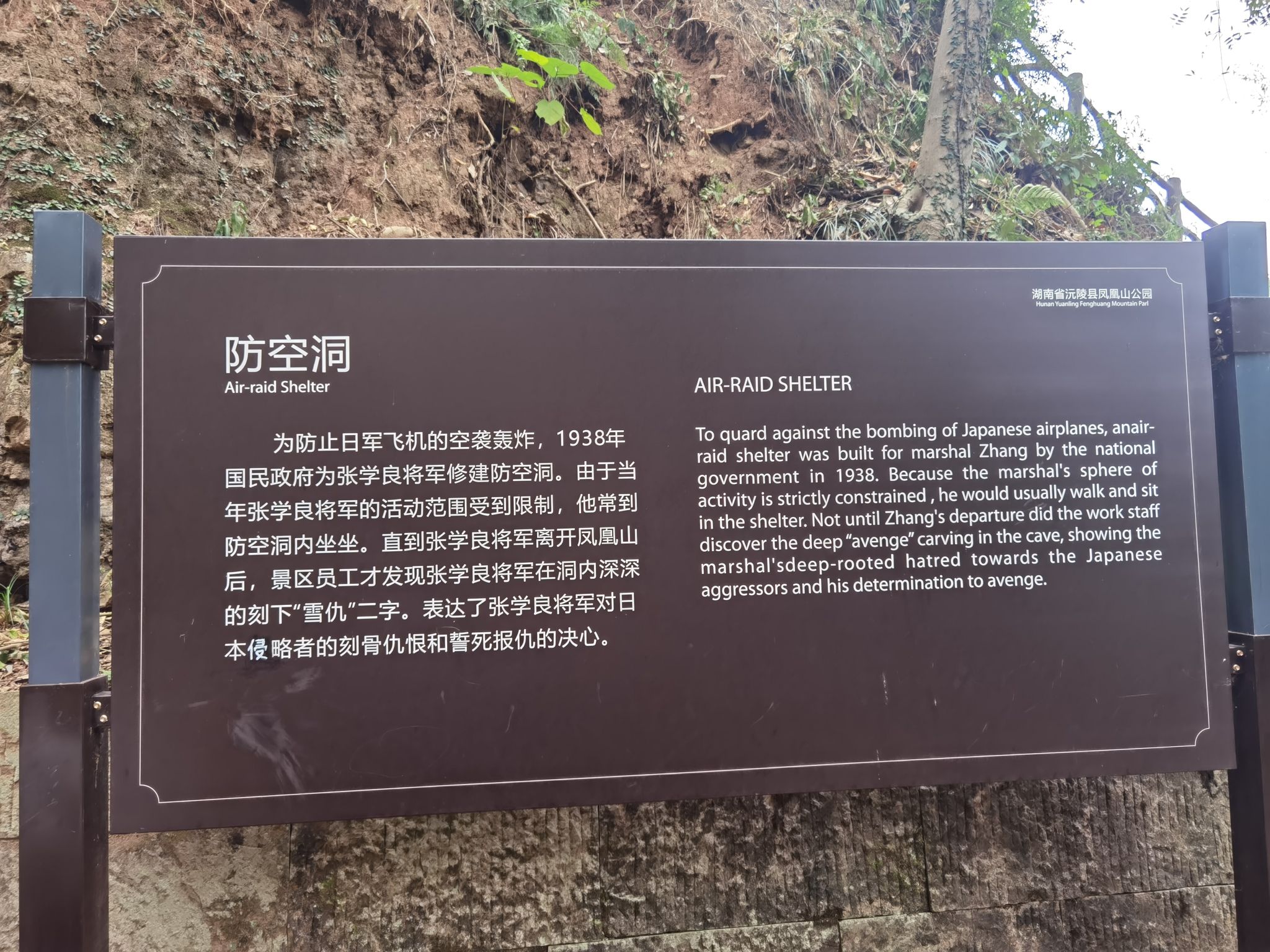 凤凰山森林公园旅行图片 2