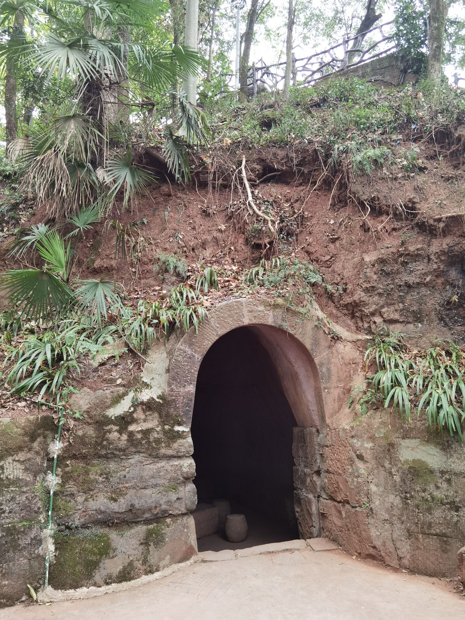 凤凰山森林公园旅行图片 3