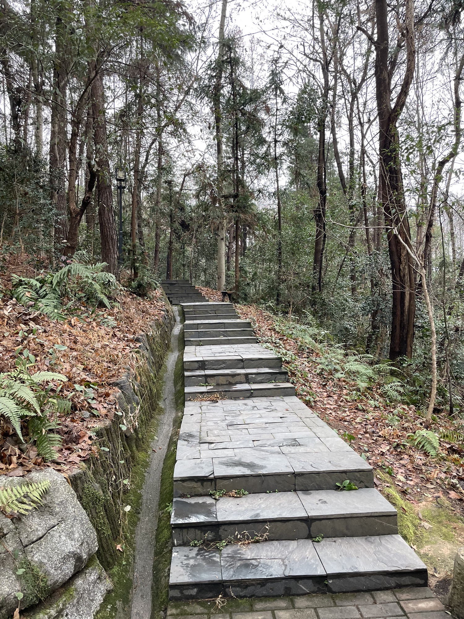 迎丰公园旅行图片 3