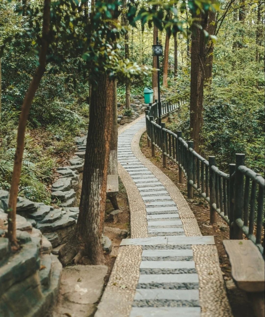 迎丰公园