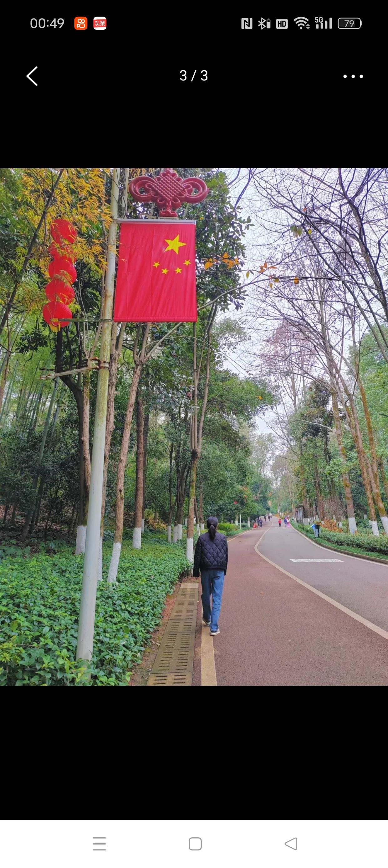 迎丰公园旅行图片 1