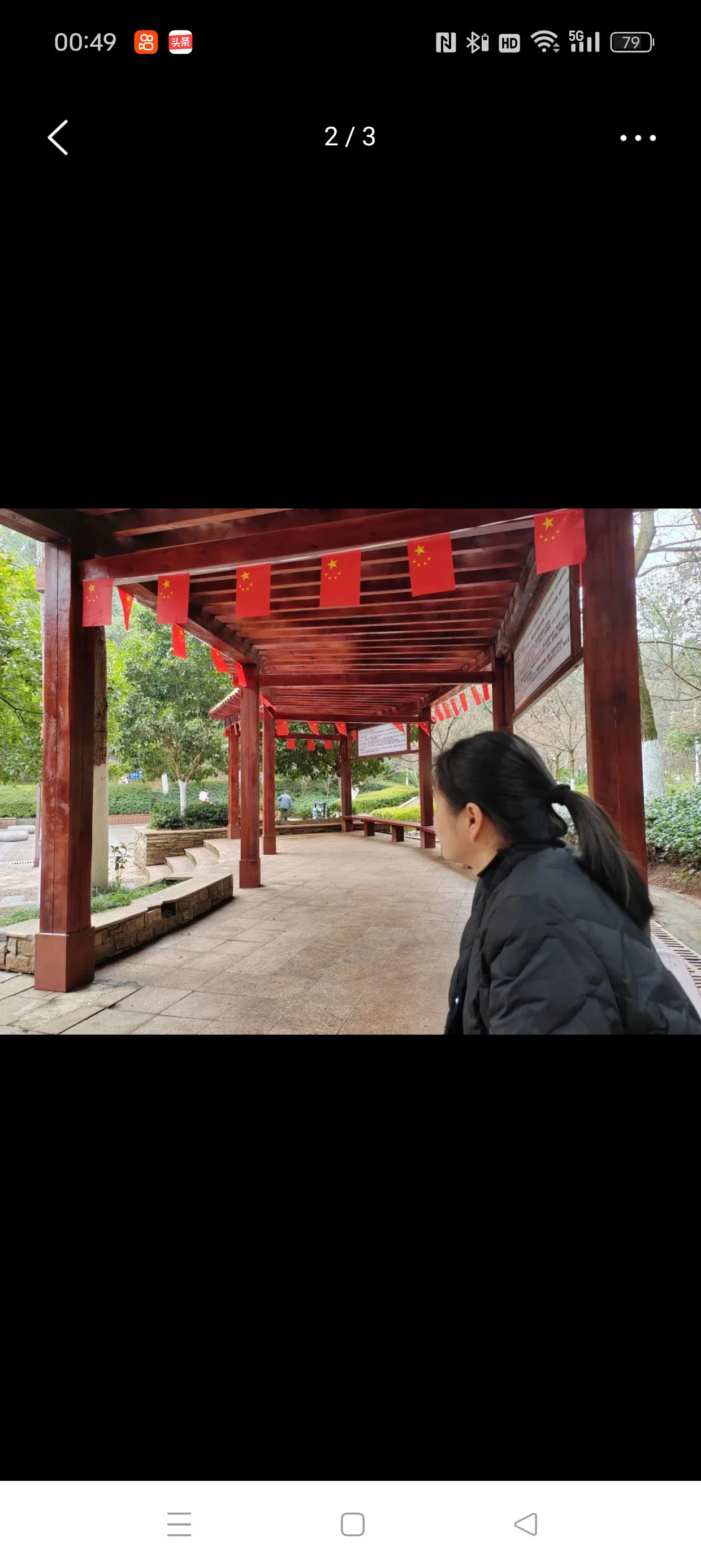 迎丰公园旅行图片 2