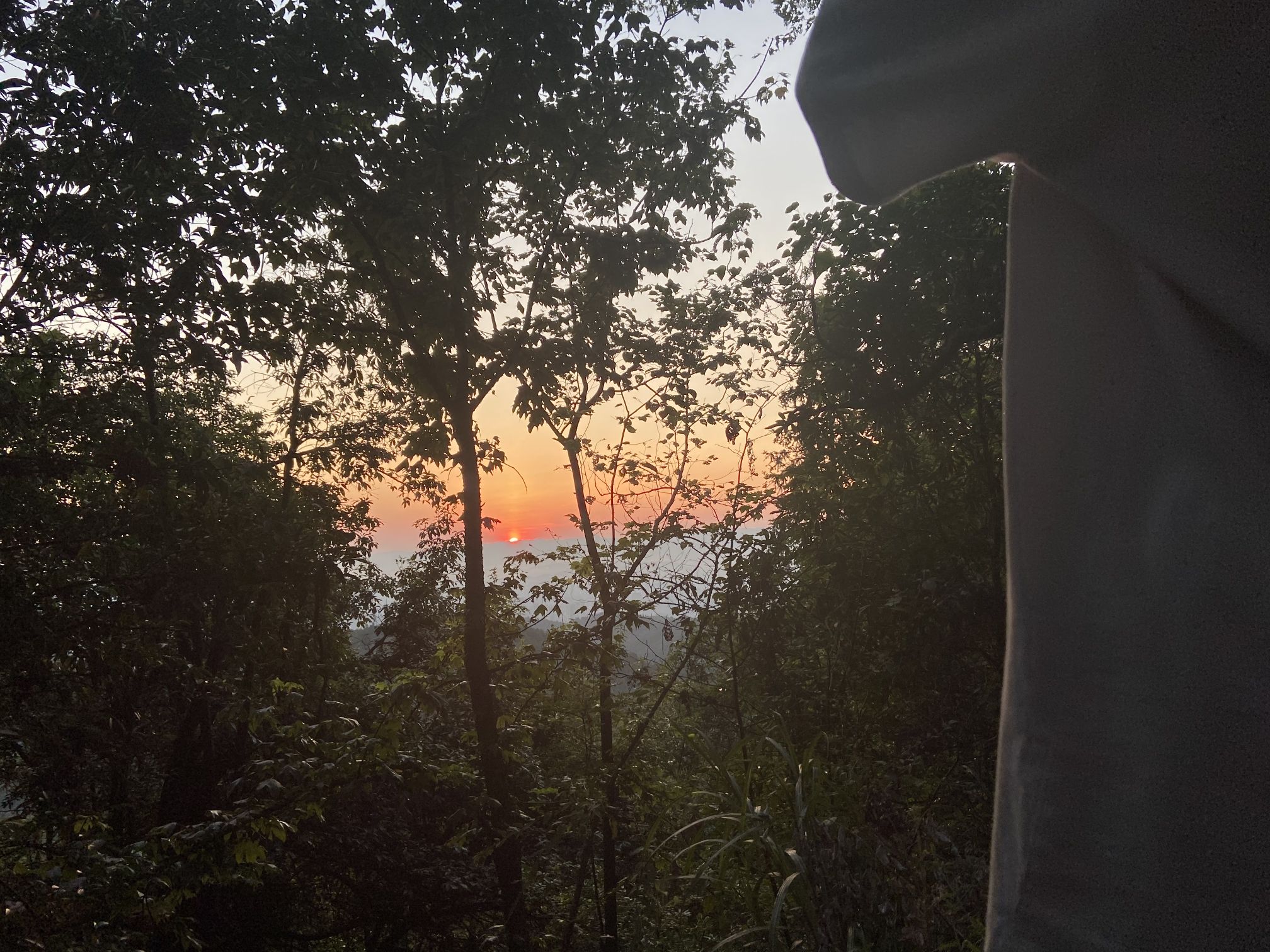迎丰公园旅行图片 3